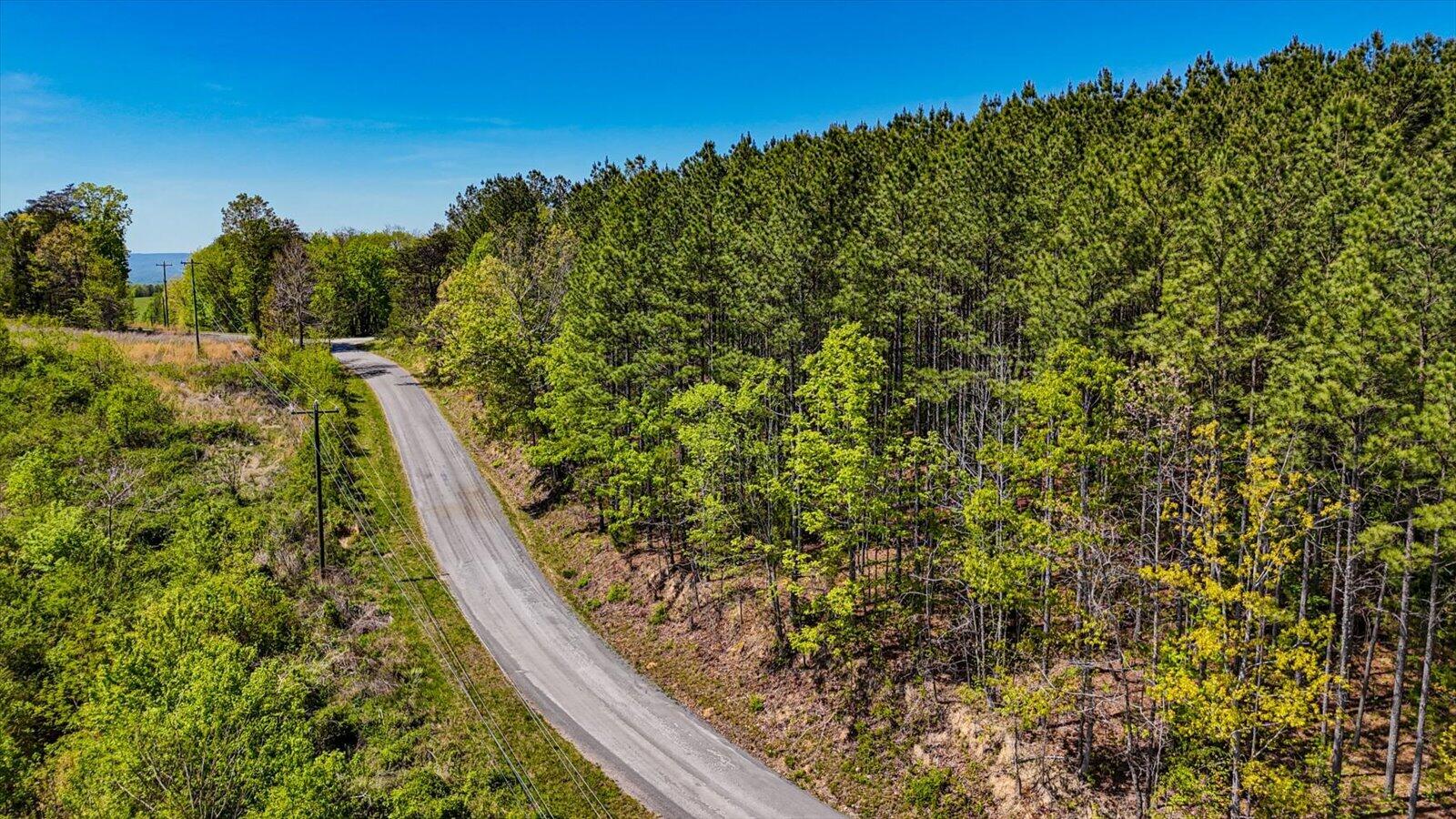 15.12 Acre Rynes Road