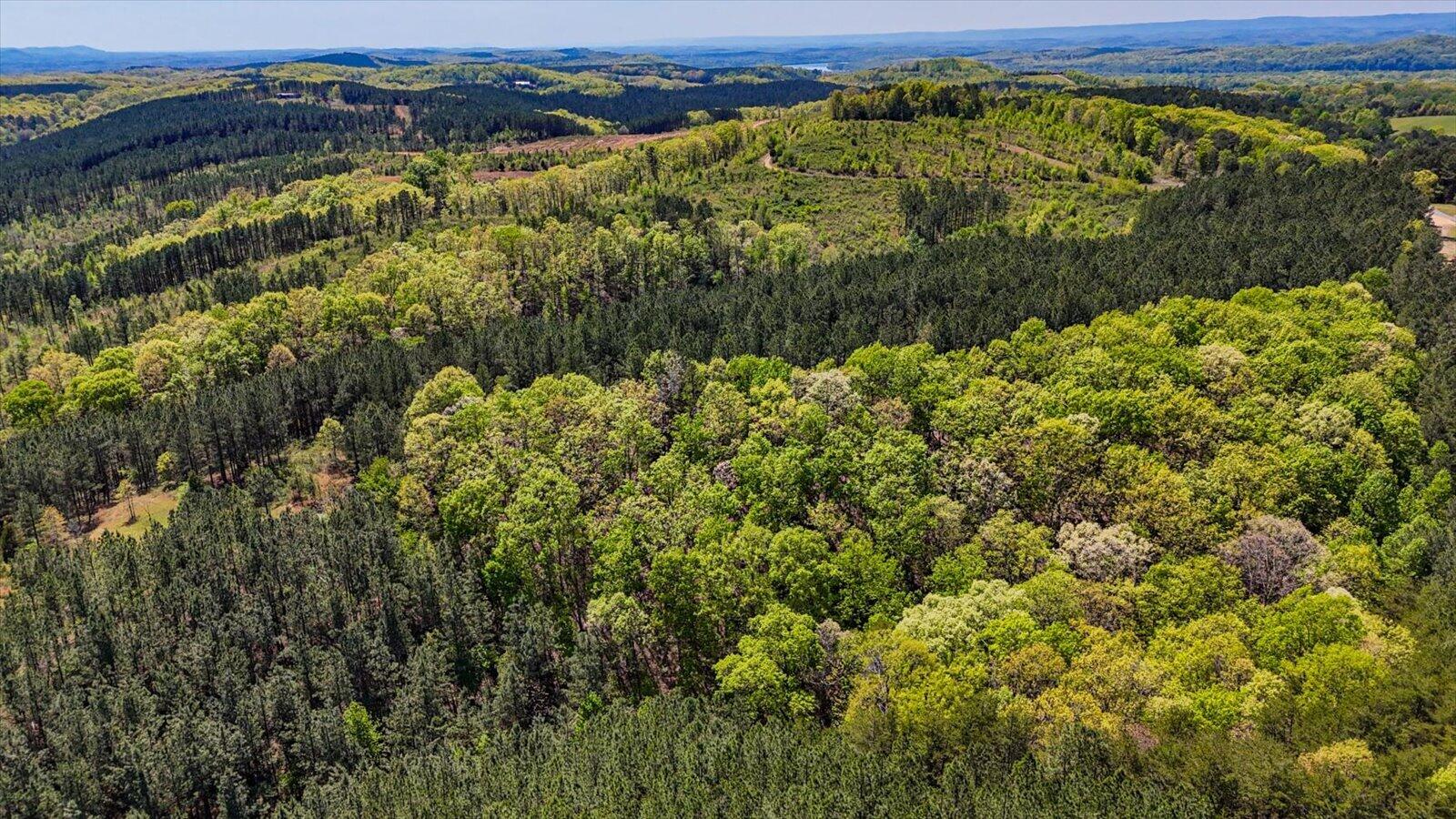 15.12 Acre Rynes Road