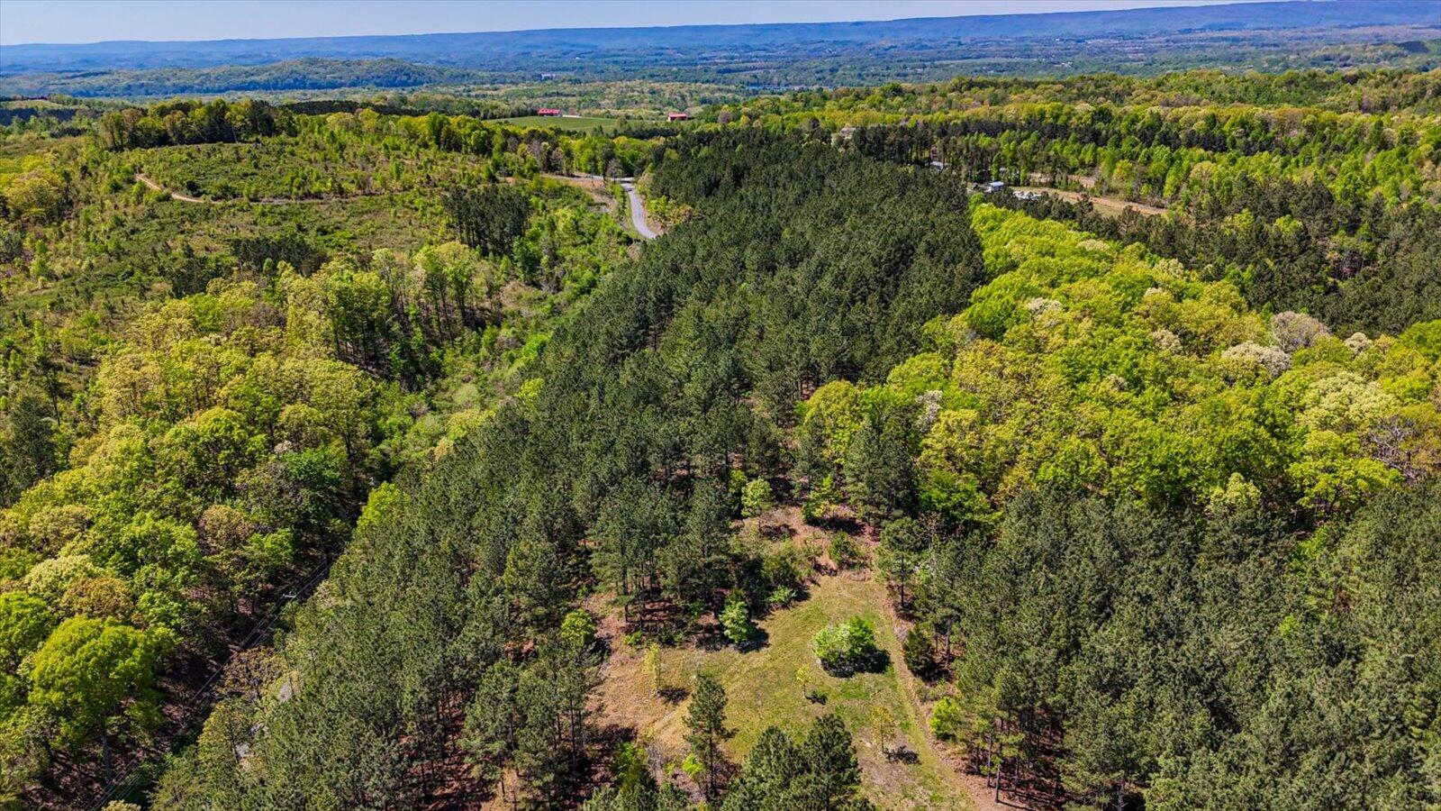 15.12 Acre Rynes Road