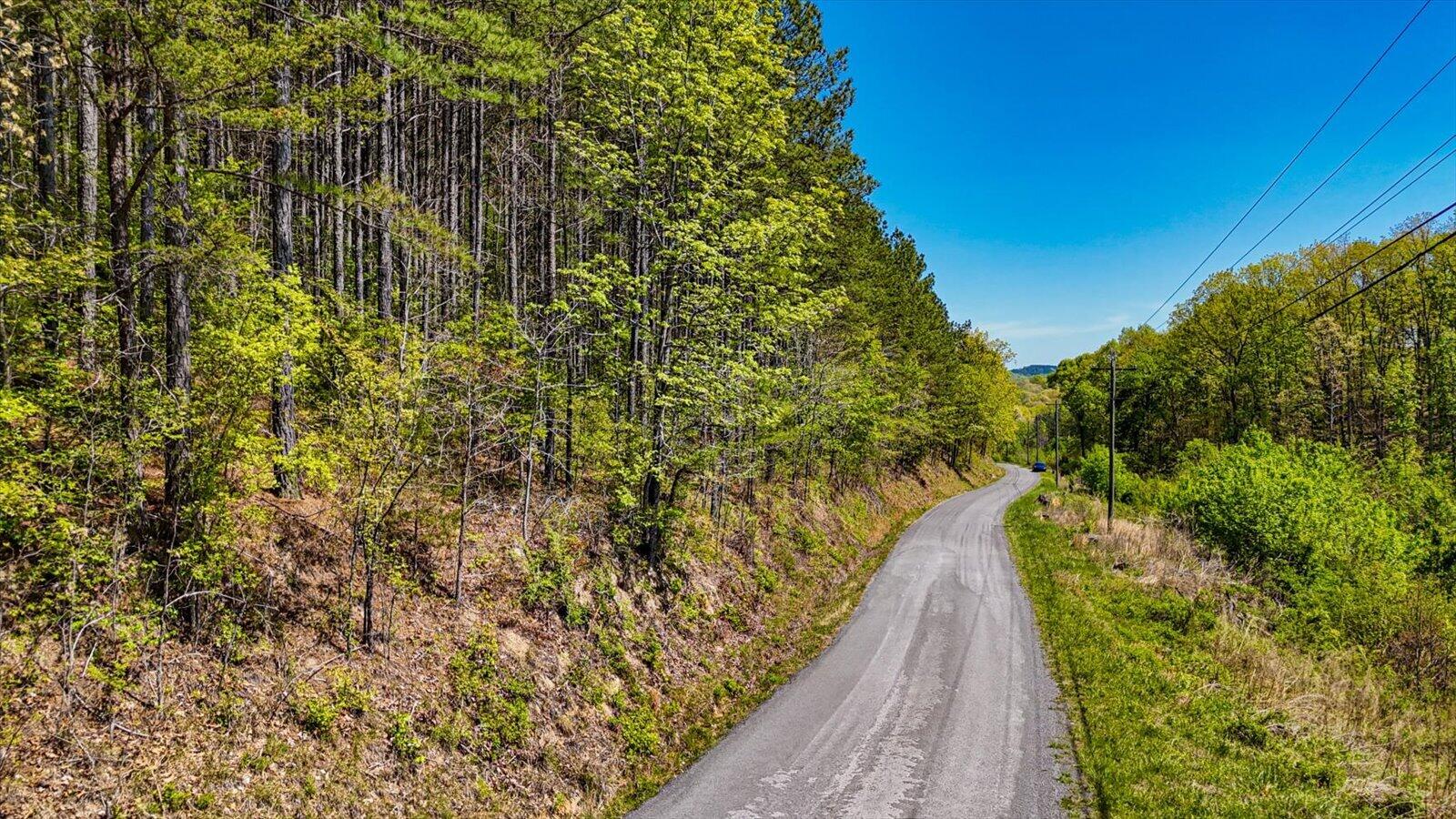 15.12 Acre Rynes Road