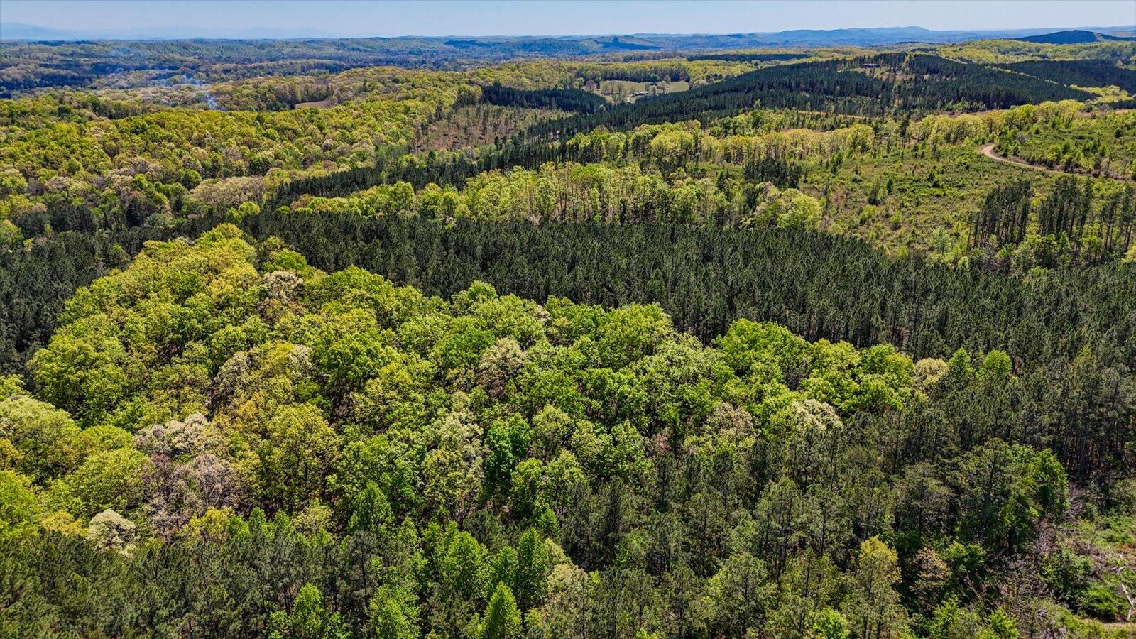 15.12 Acre Rynes Road