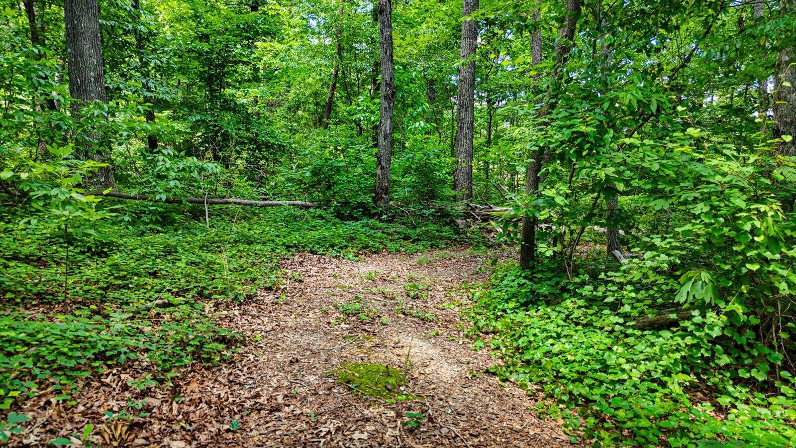 2556 Highway Trion Highway, LaFayette