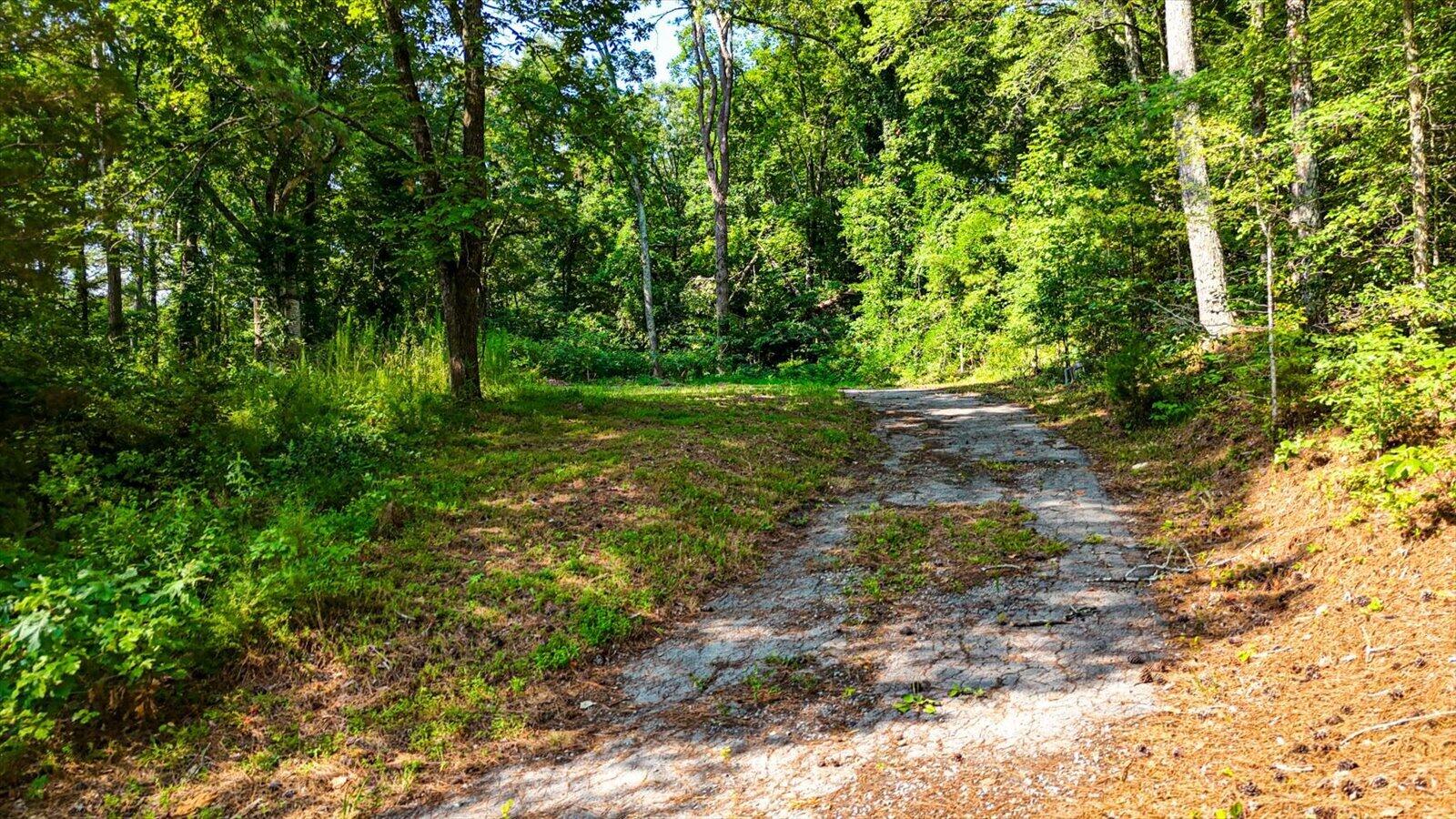 3676 Highway Trion Highway, LaFayette