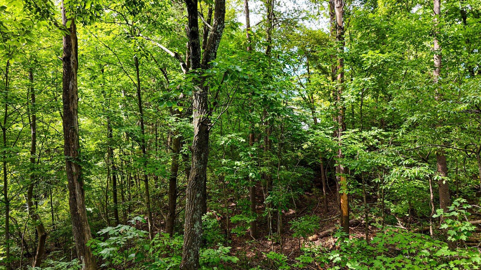 5064 Hunter Trail