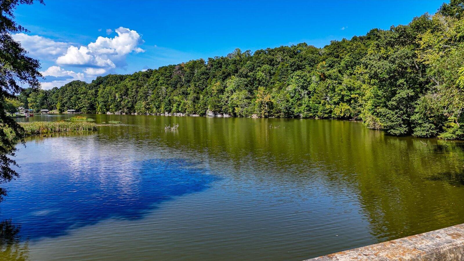 7350 Wolftever Trail