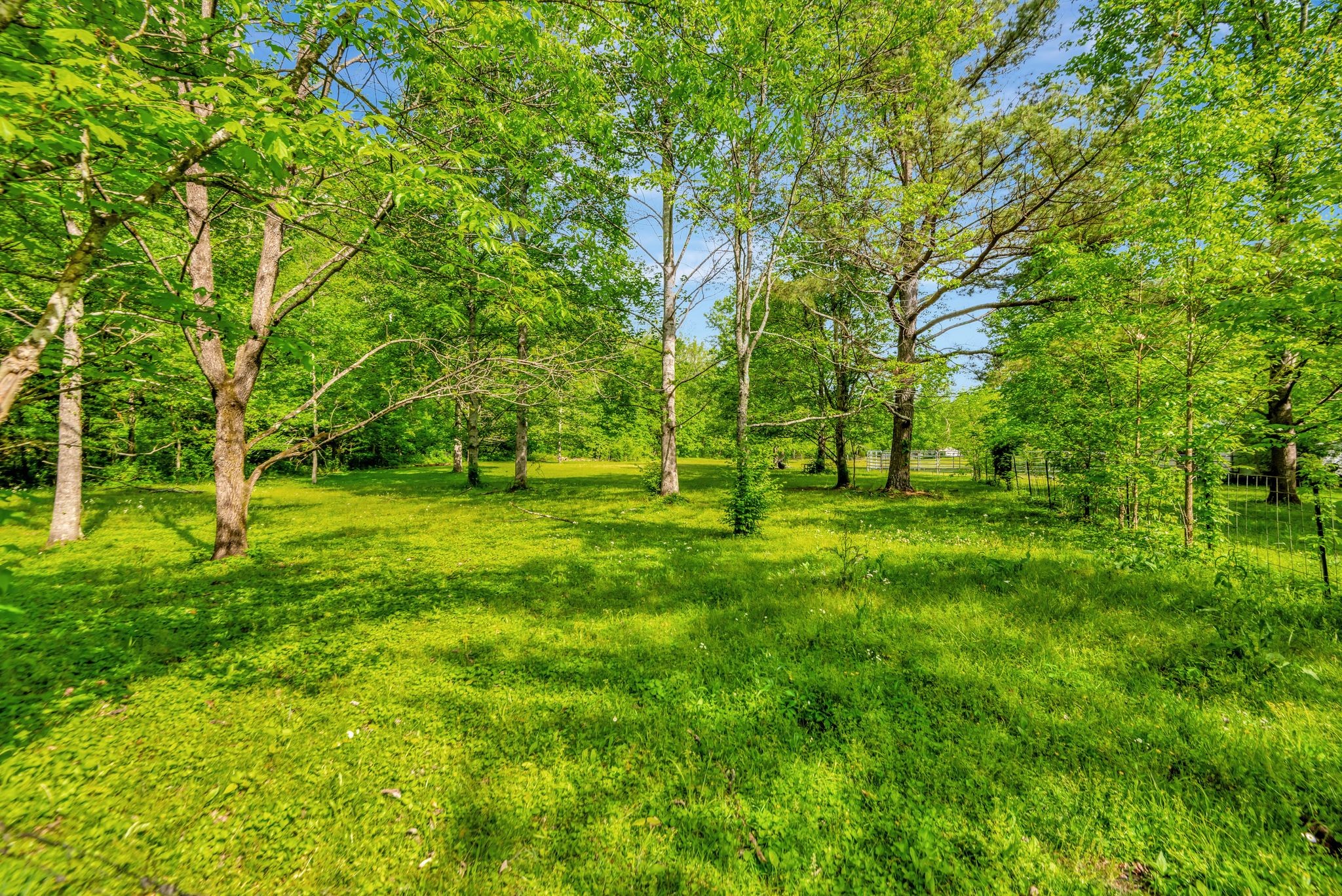 2366 Sams Creek Rd