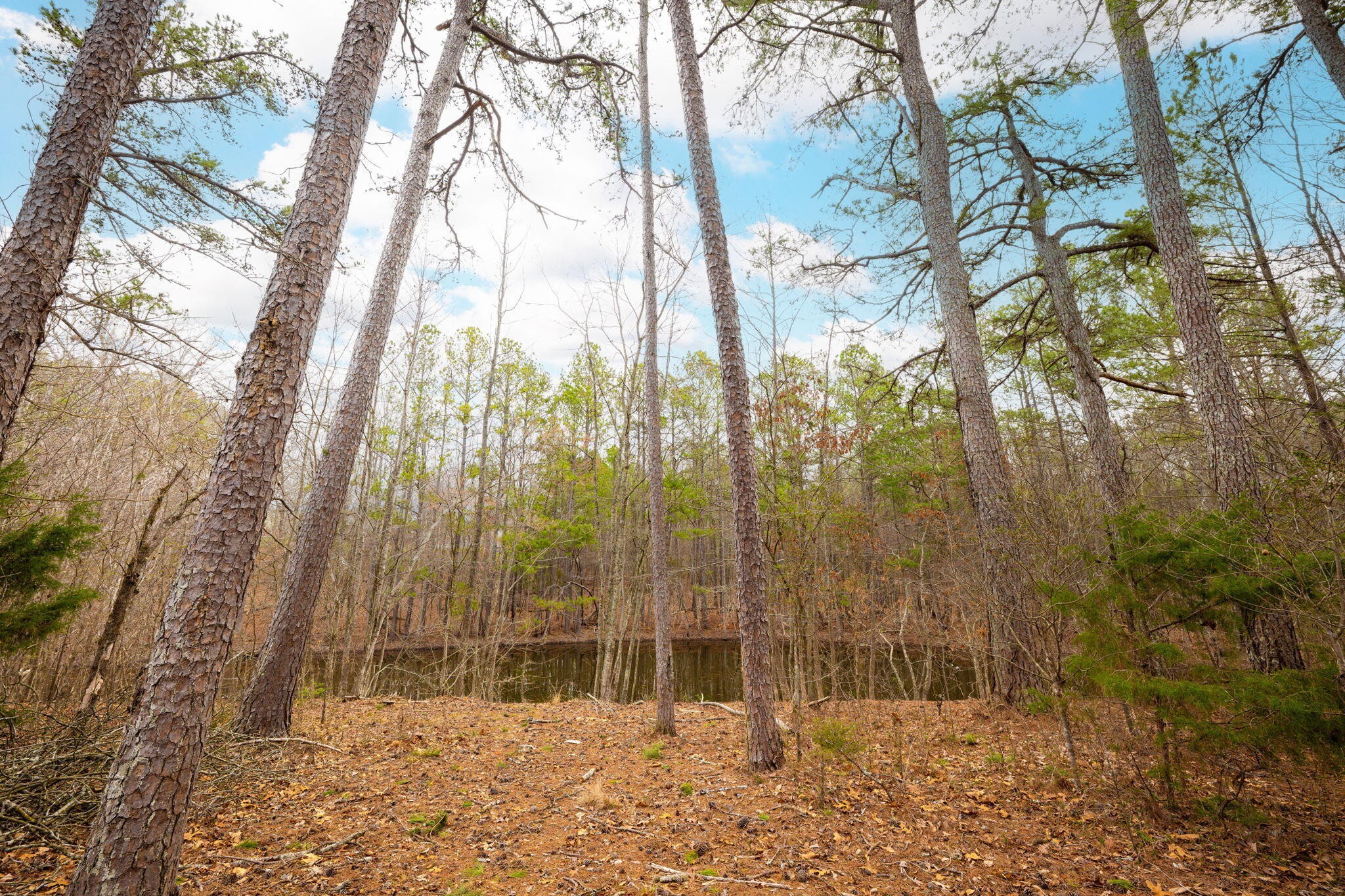 477 Hulsey Drive