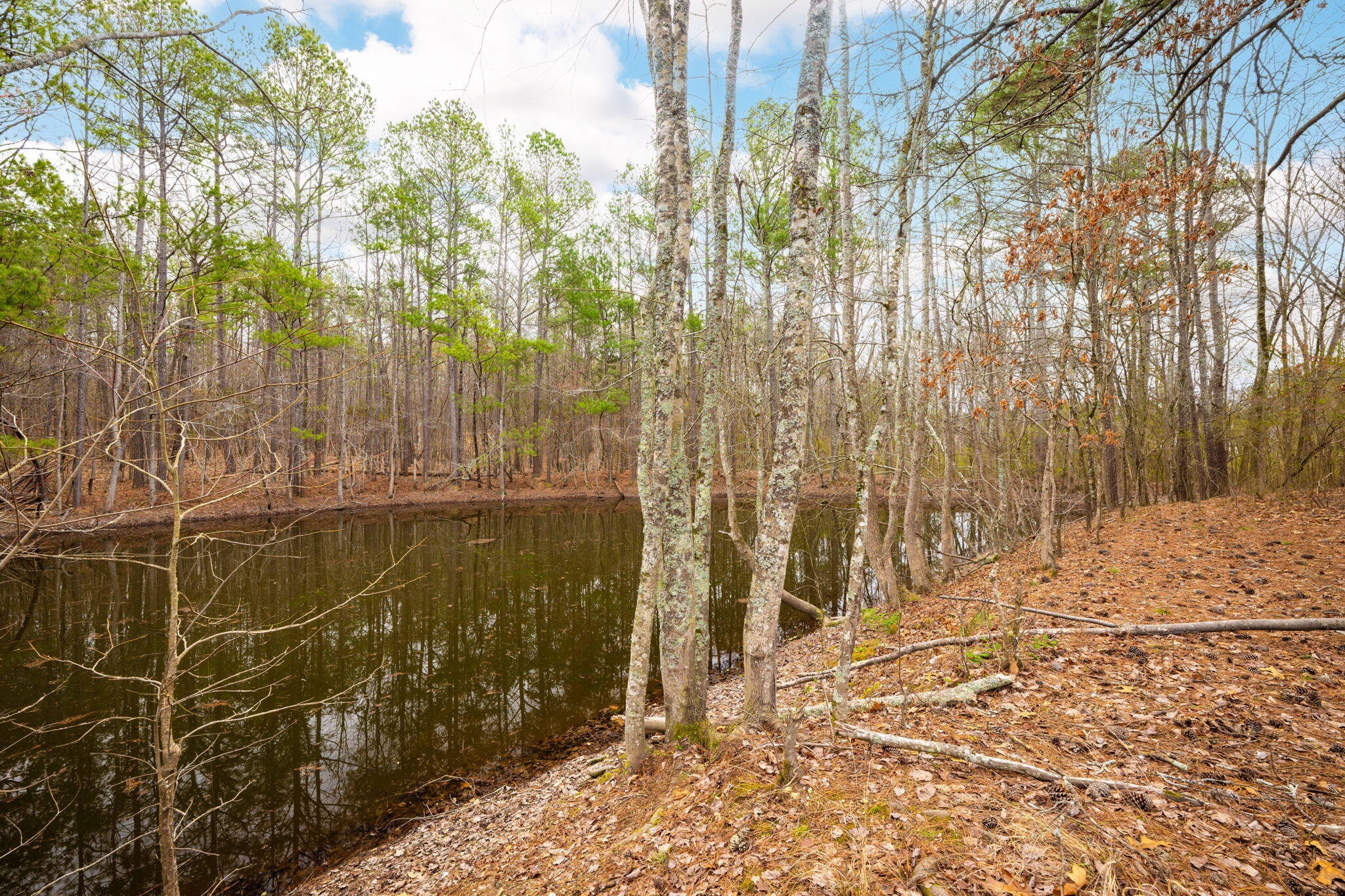 477 Hulsey Drive
