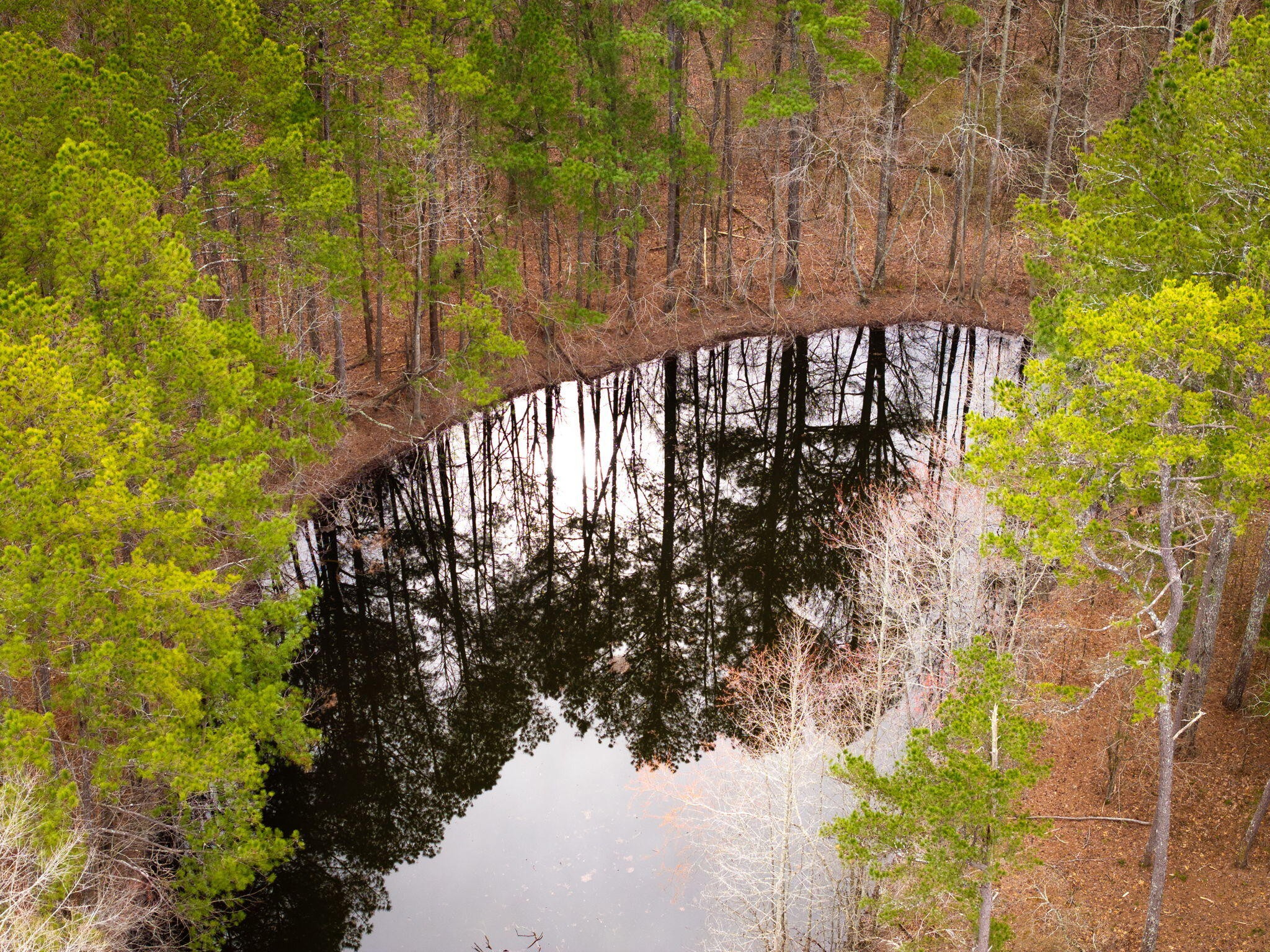 477 Hulsey Drive