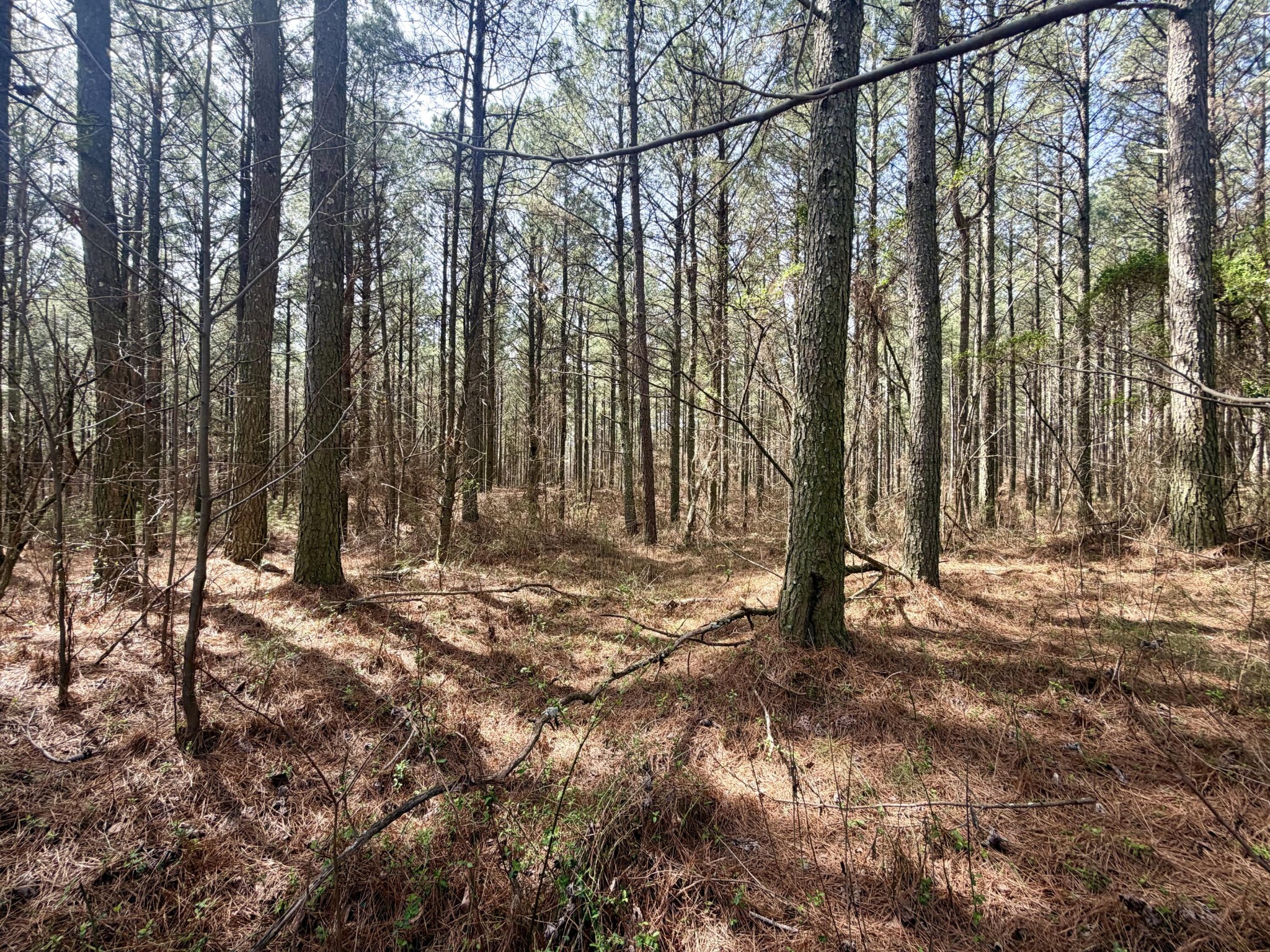 2076 Meditation Lane