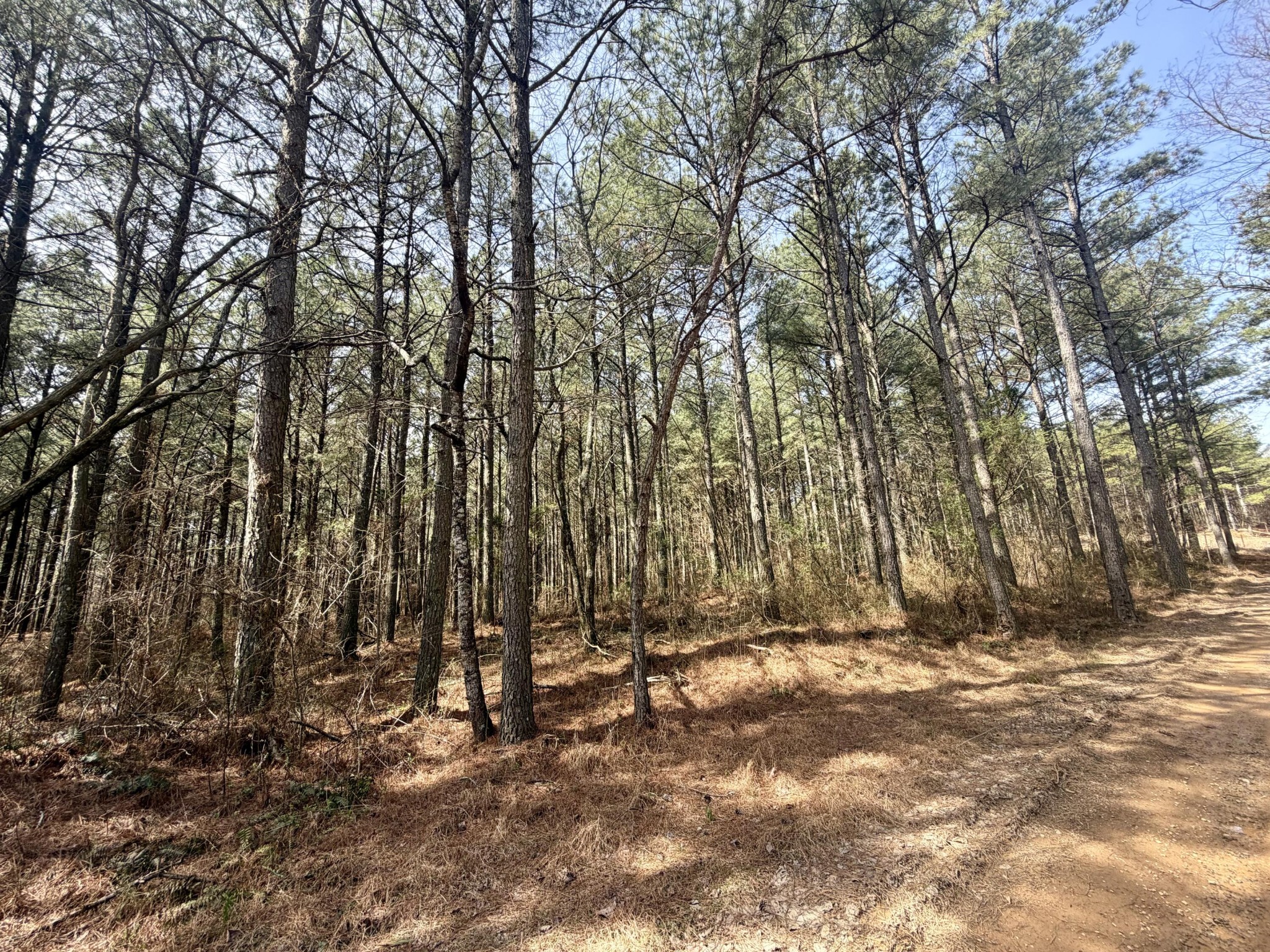 2076 Meditation Lane