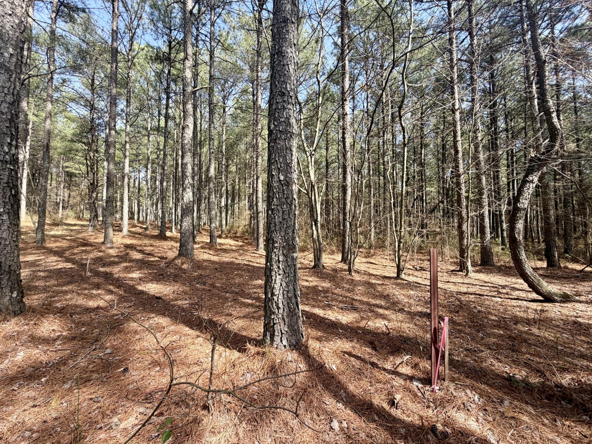 2076 Meditation Lane