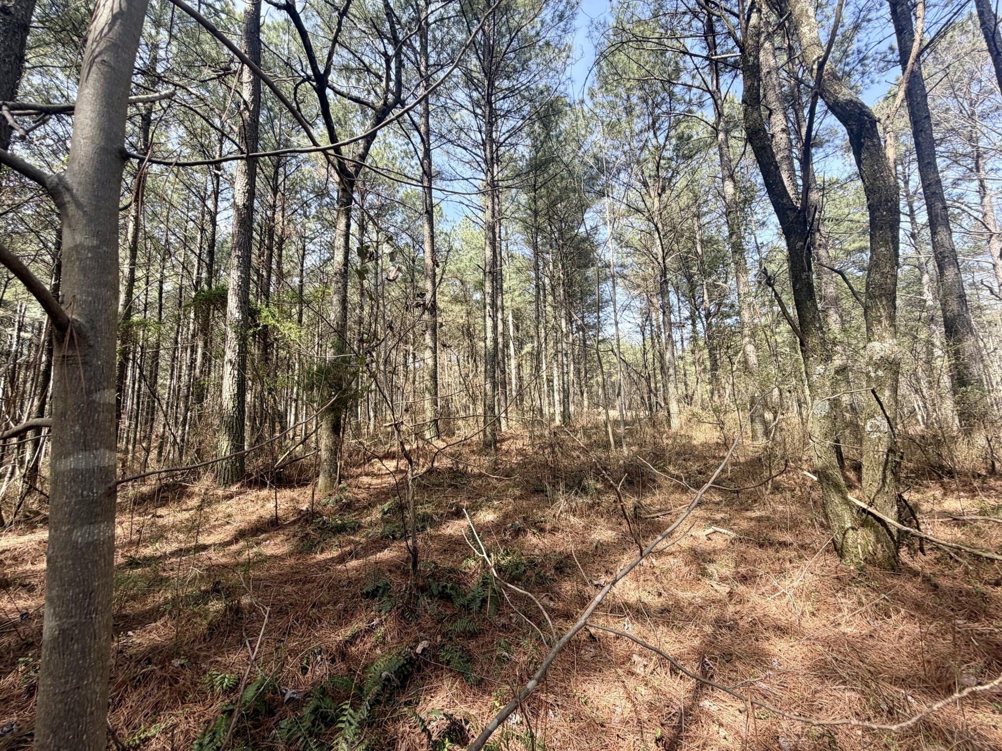 2076 Meditation Lane