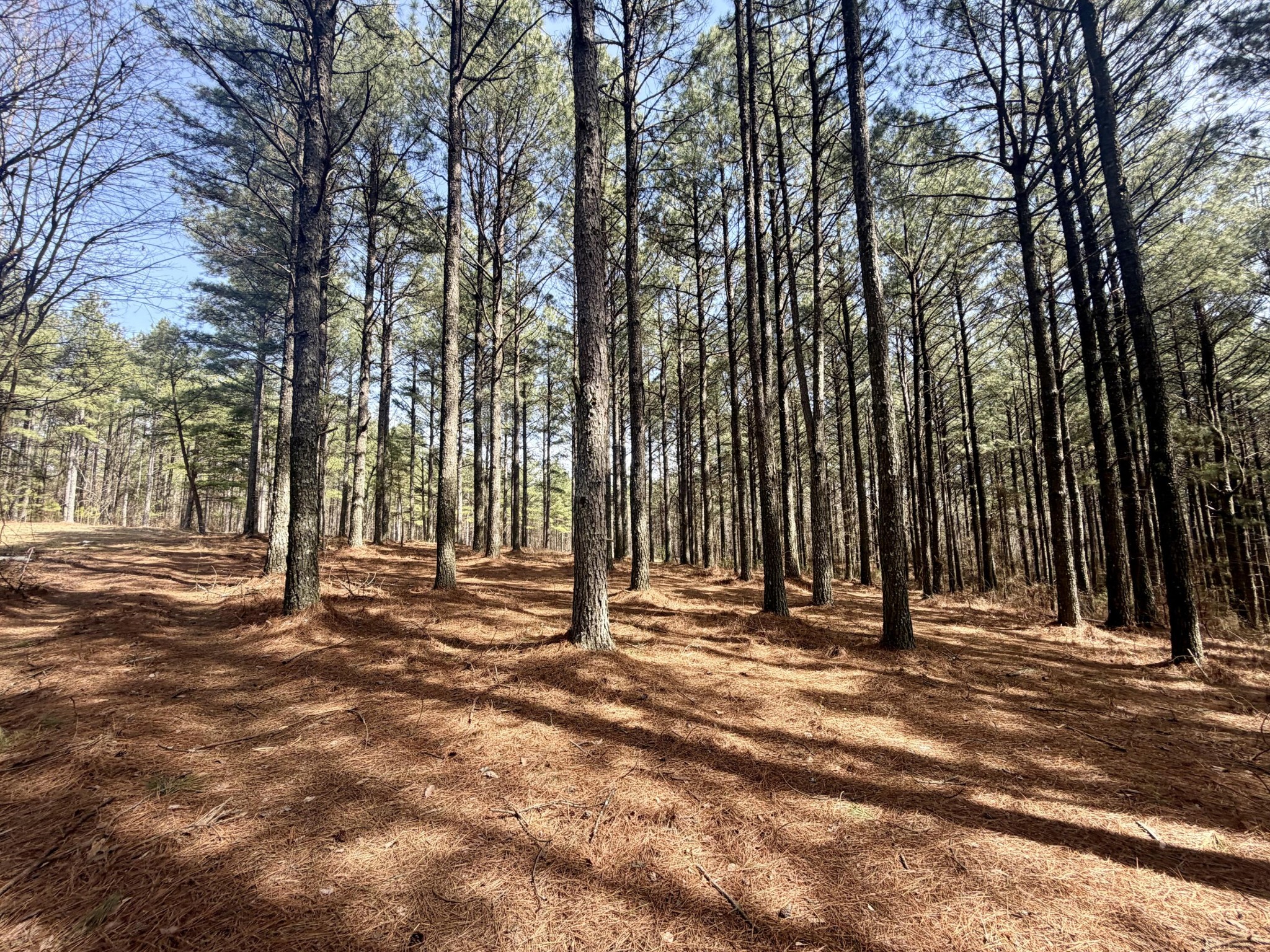 2076 Meditation Lane