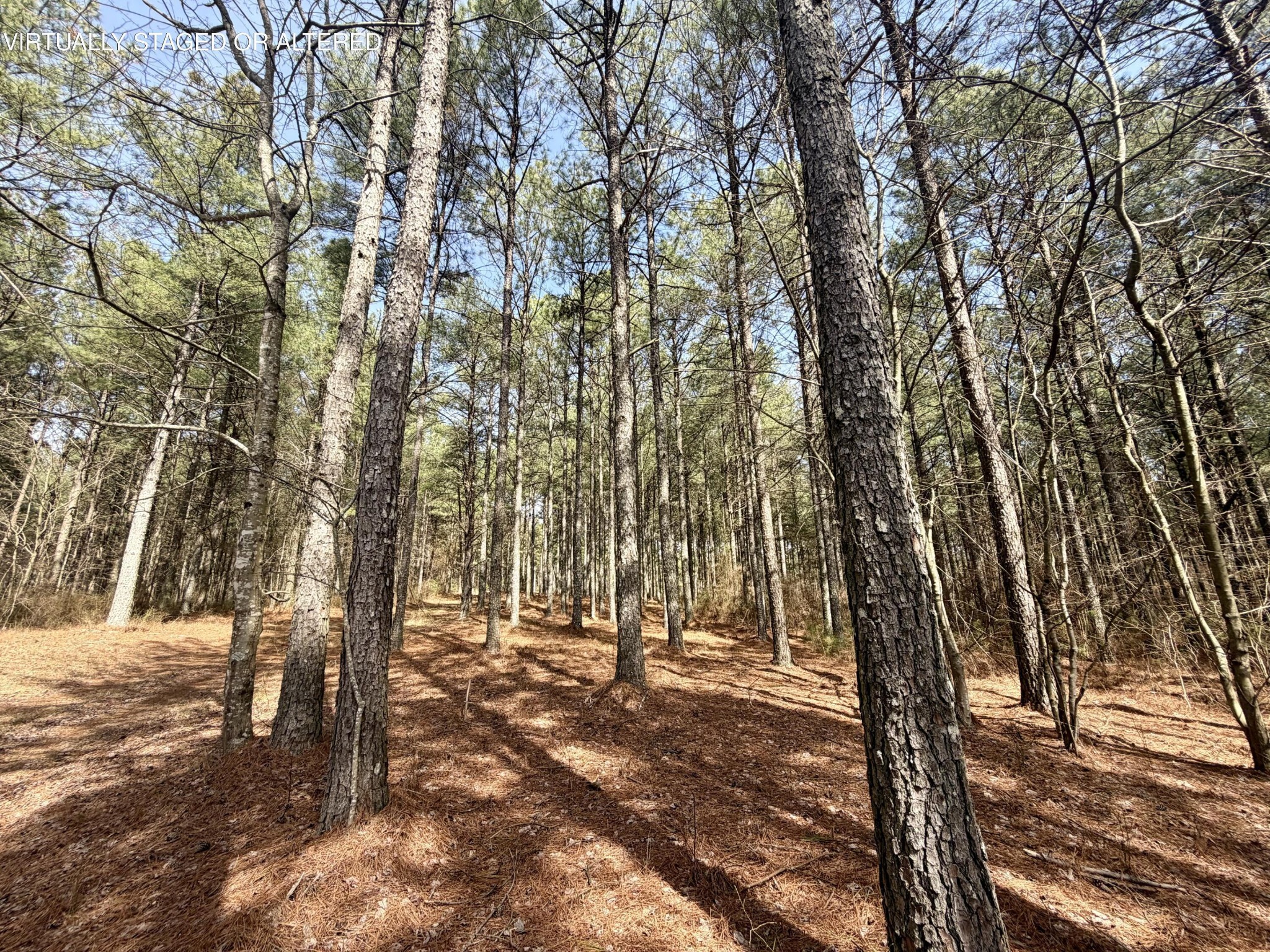 2076 Meditation Lane