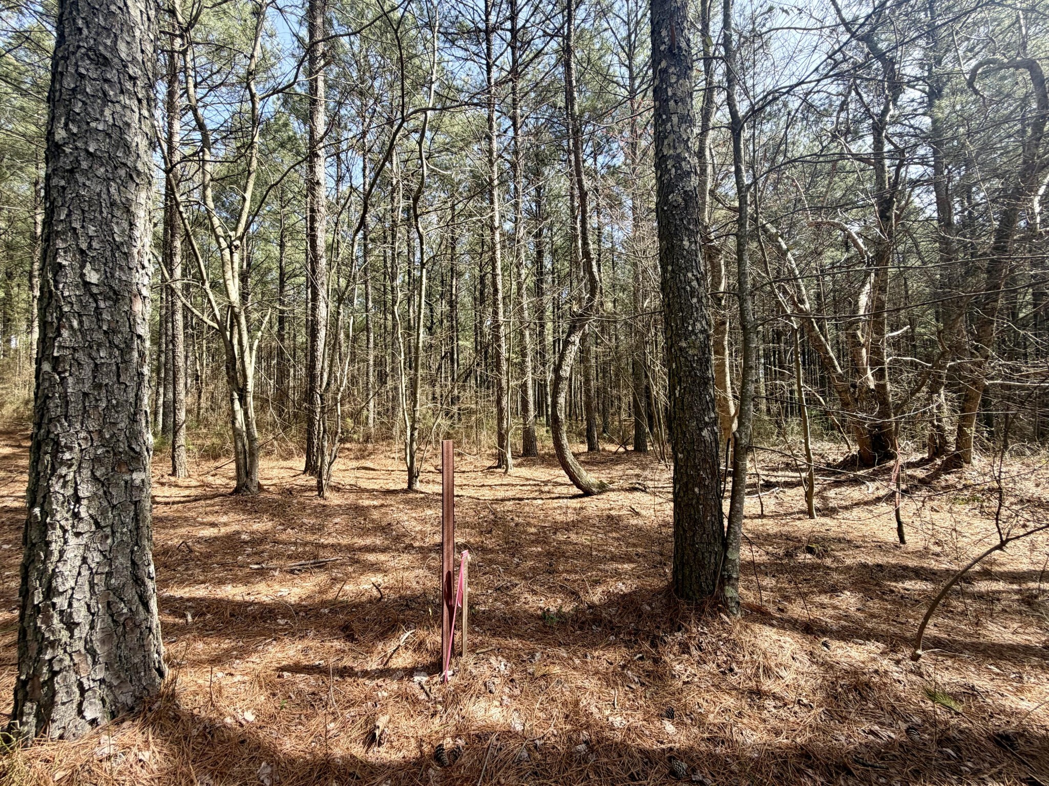 2076 Meditation Lane