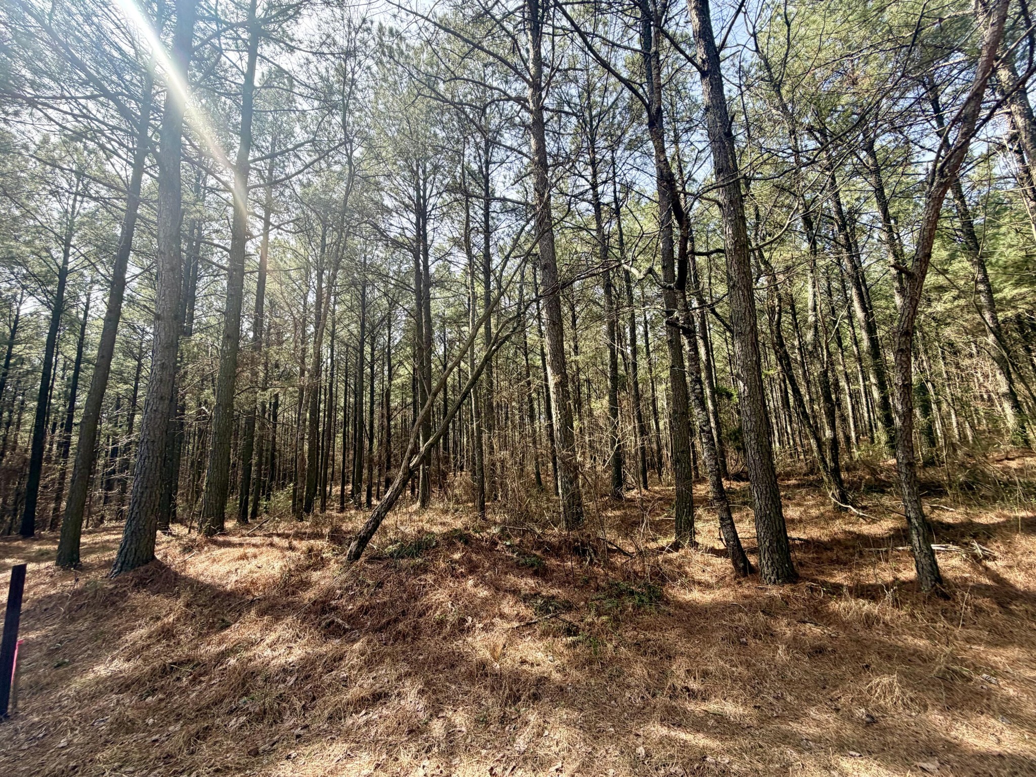 2076 Meditation Lane