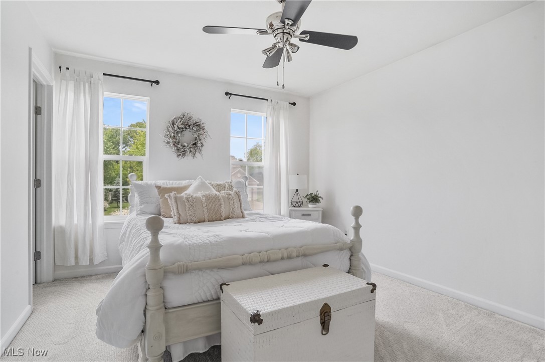 2215 Dorchester Drive