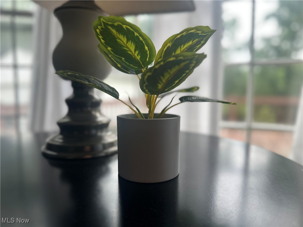 1368 Shanabrook Drive