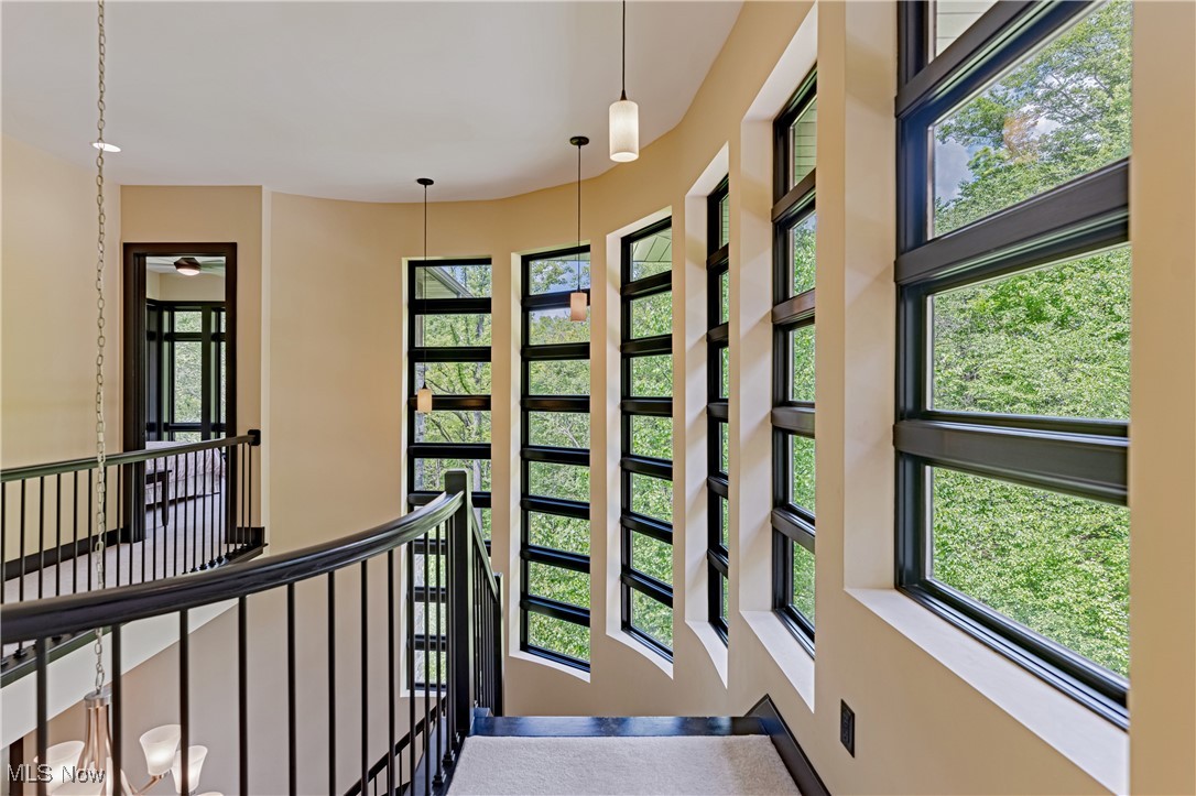 3521 Hamilton Drive