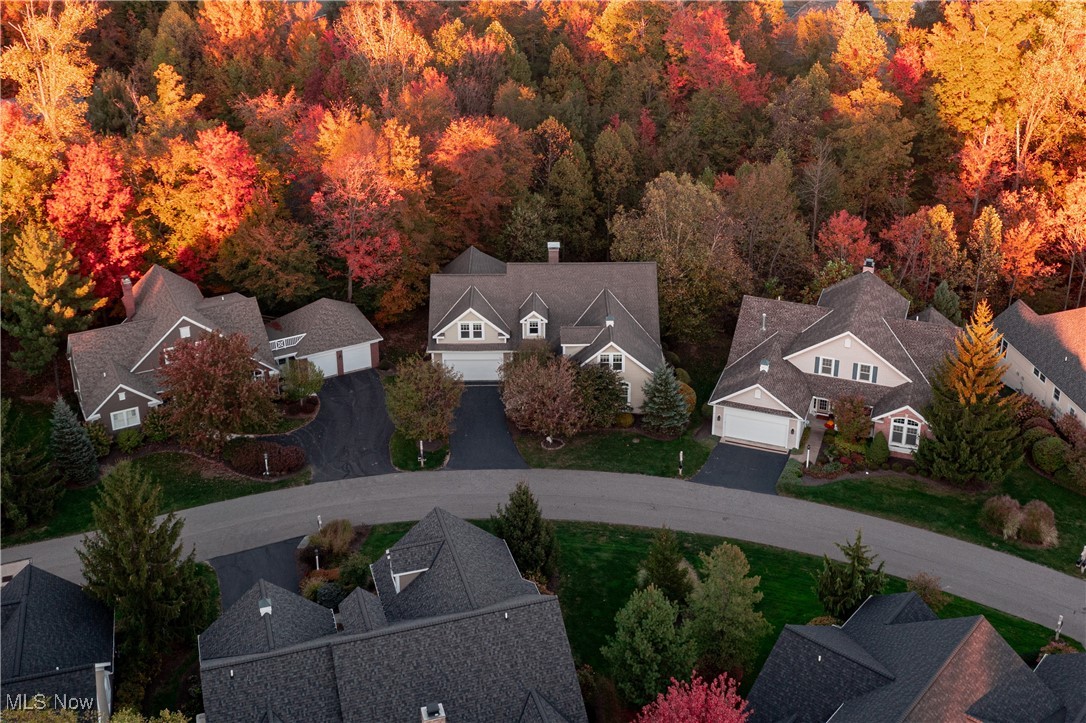 17411 Beech Grove Trail