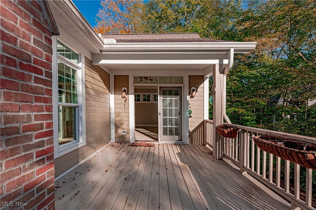 17411 Beech Grove Trail