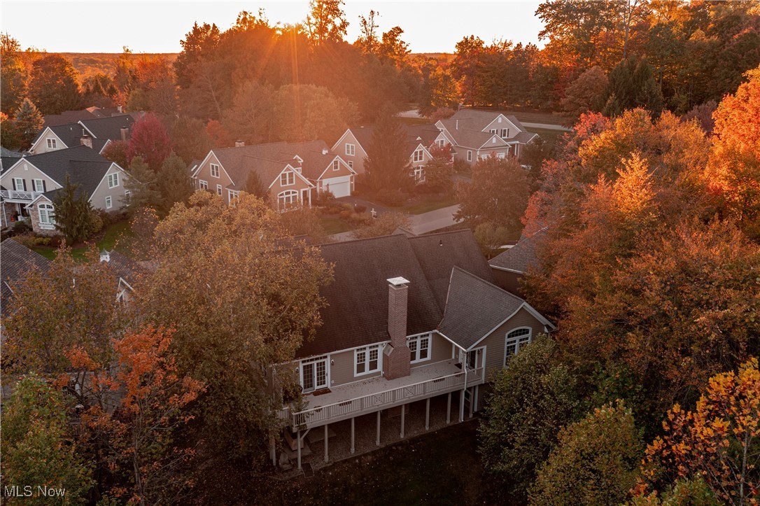 17411 Beech Grove Trail