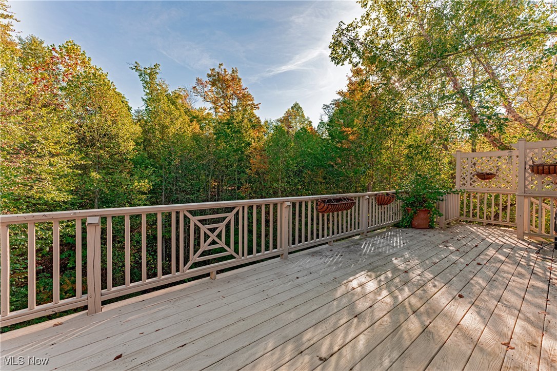 17411 Beech Grove Trail