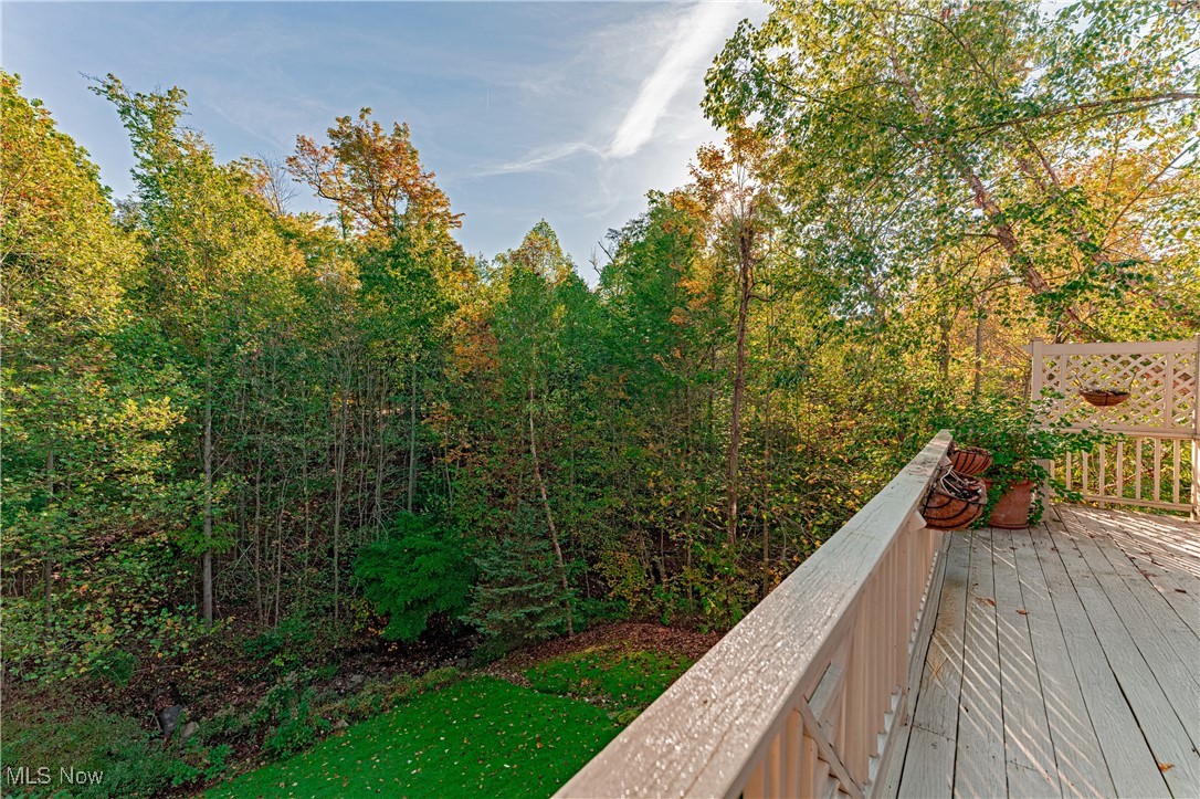 17411 Beech Grove Trail