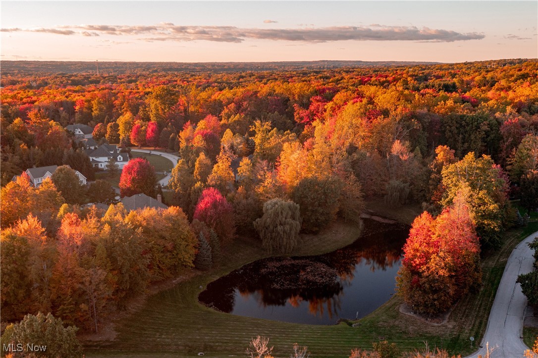 17411 Beech Grove Trail