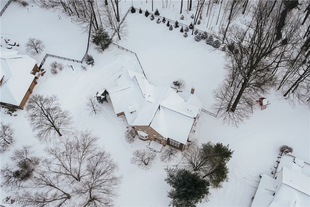 17421 Rambling Creek Trail