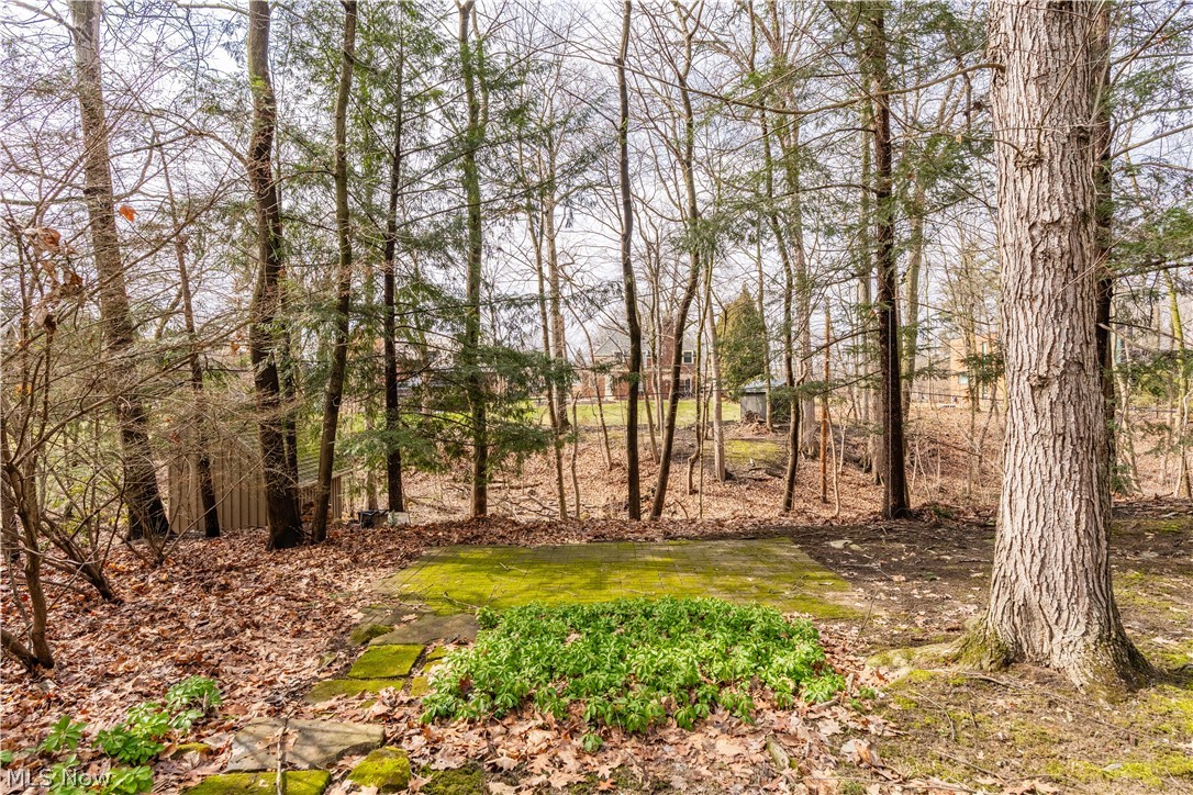 240 Sand Run Road