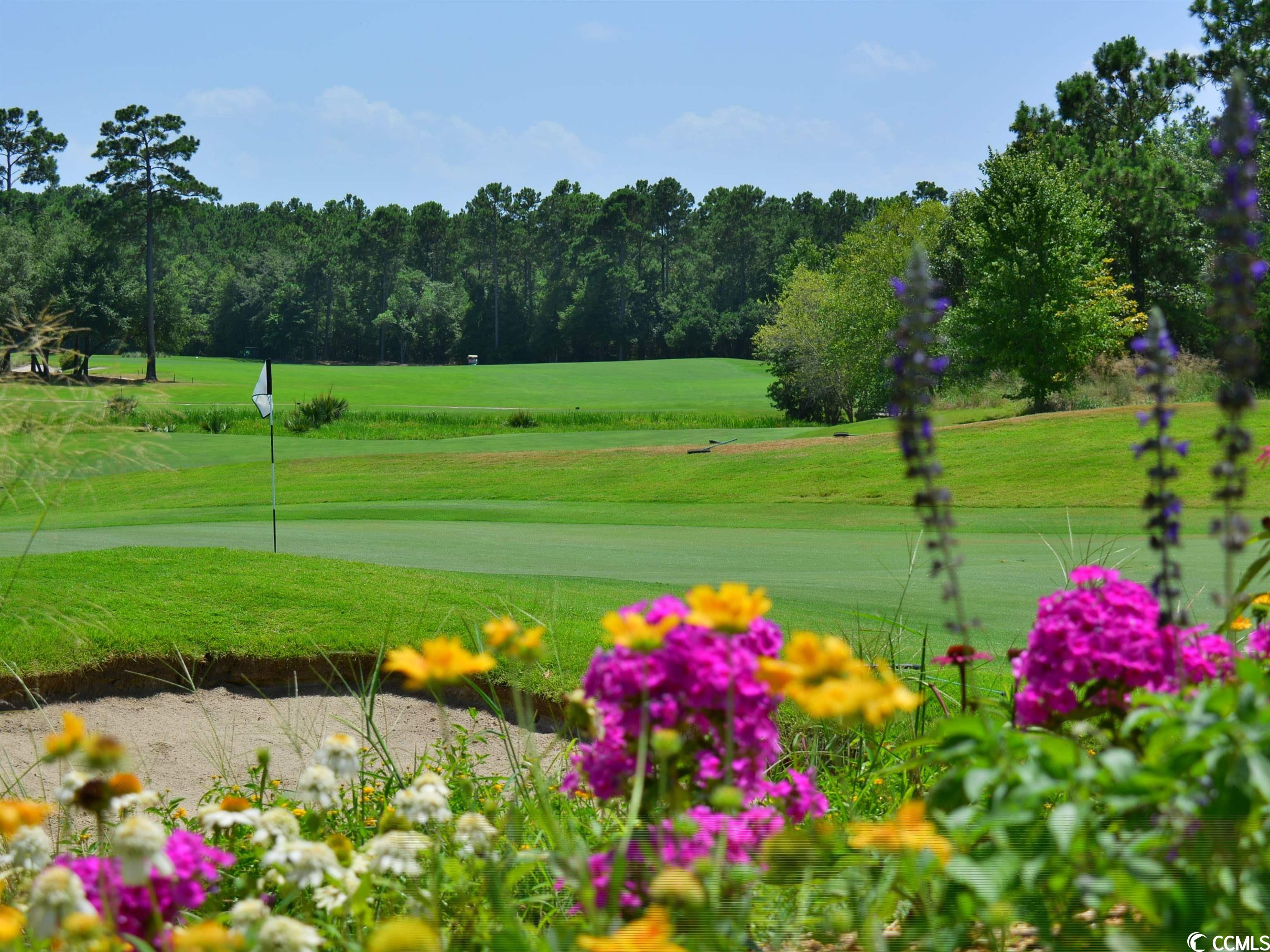 562 Blue Stem Dr. Unit: 54R