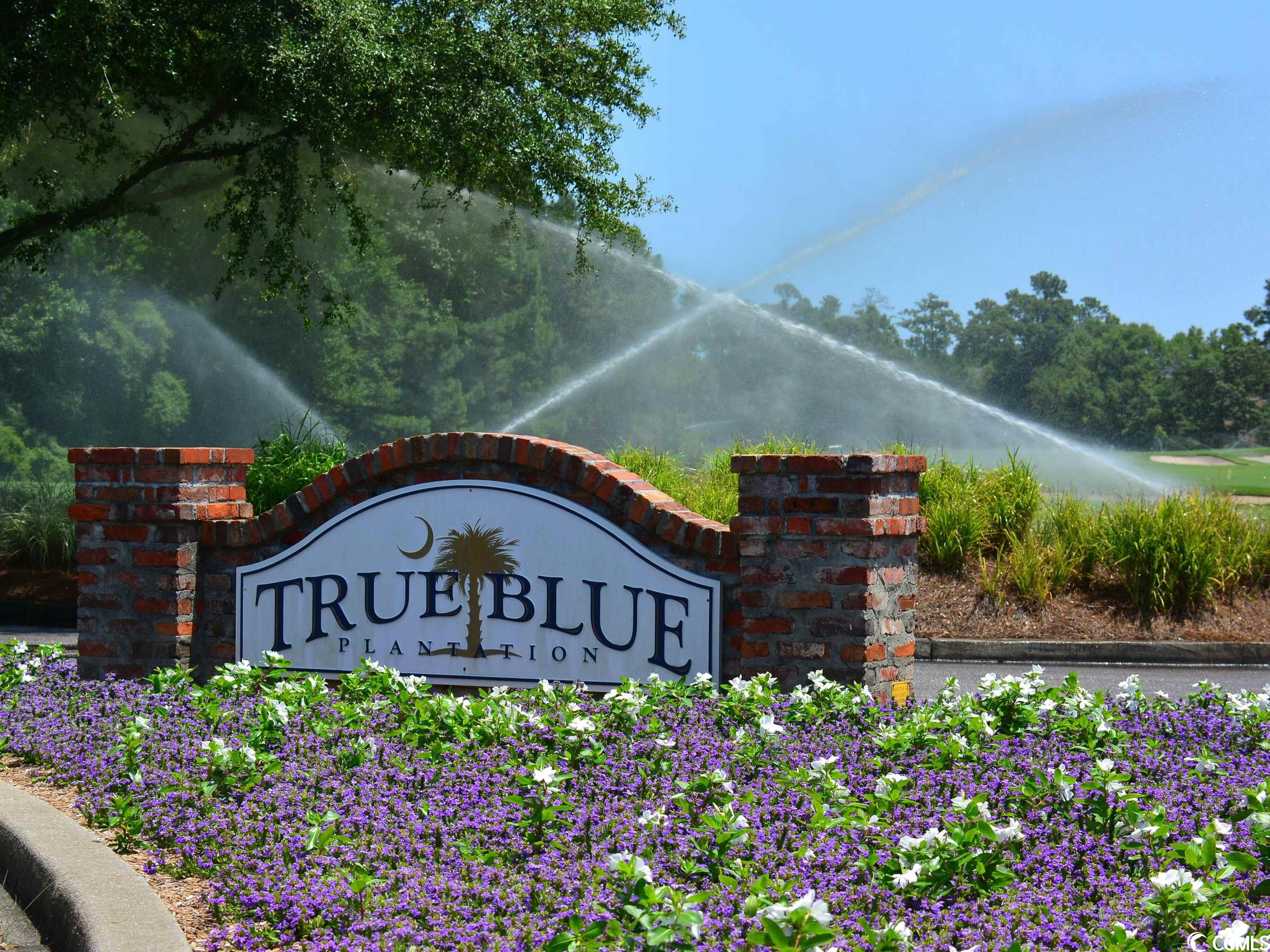 562 Blue Stem Dr. Unit: 54R