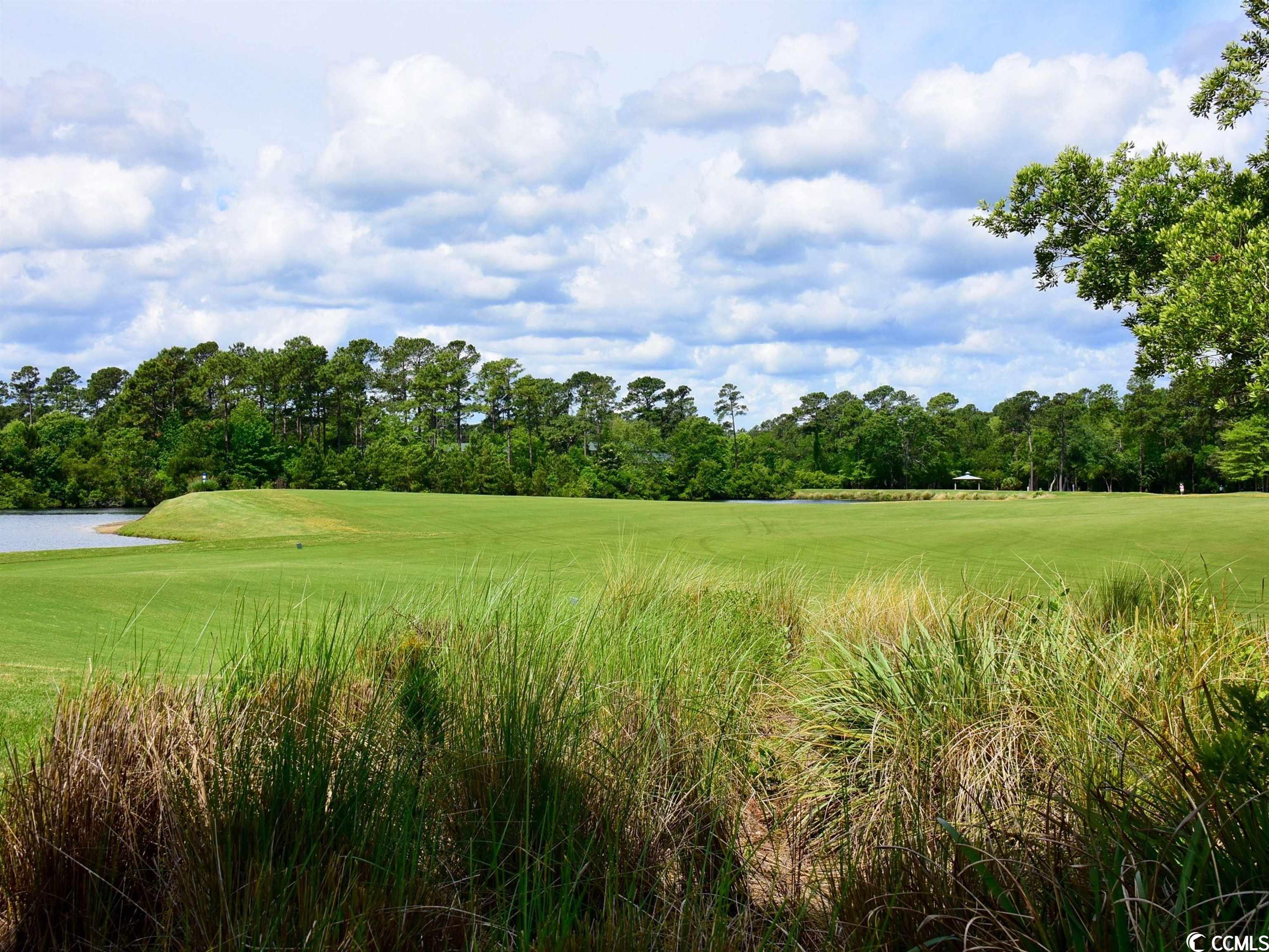 562 Blue Stem Dr. Unit: 54R