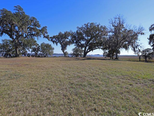 305 Chaff Ct.
