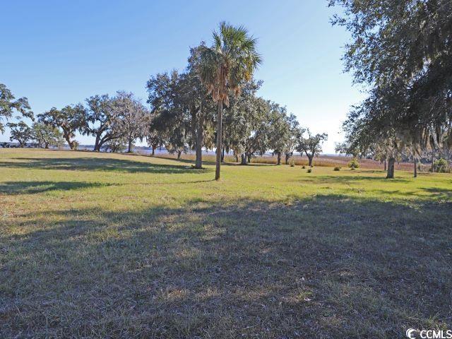 305 Chaff Ct.
