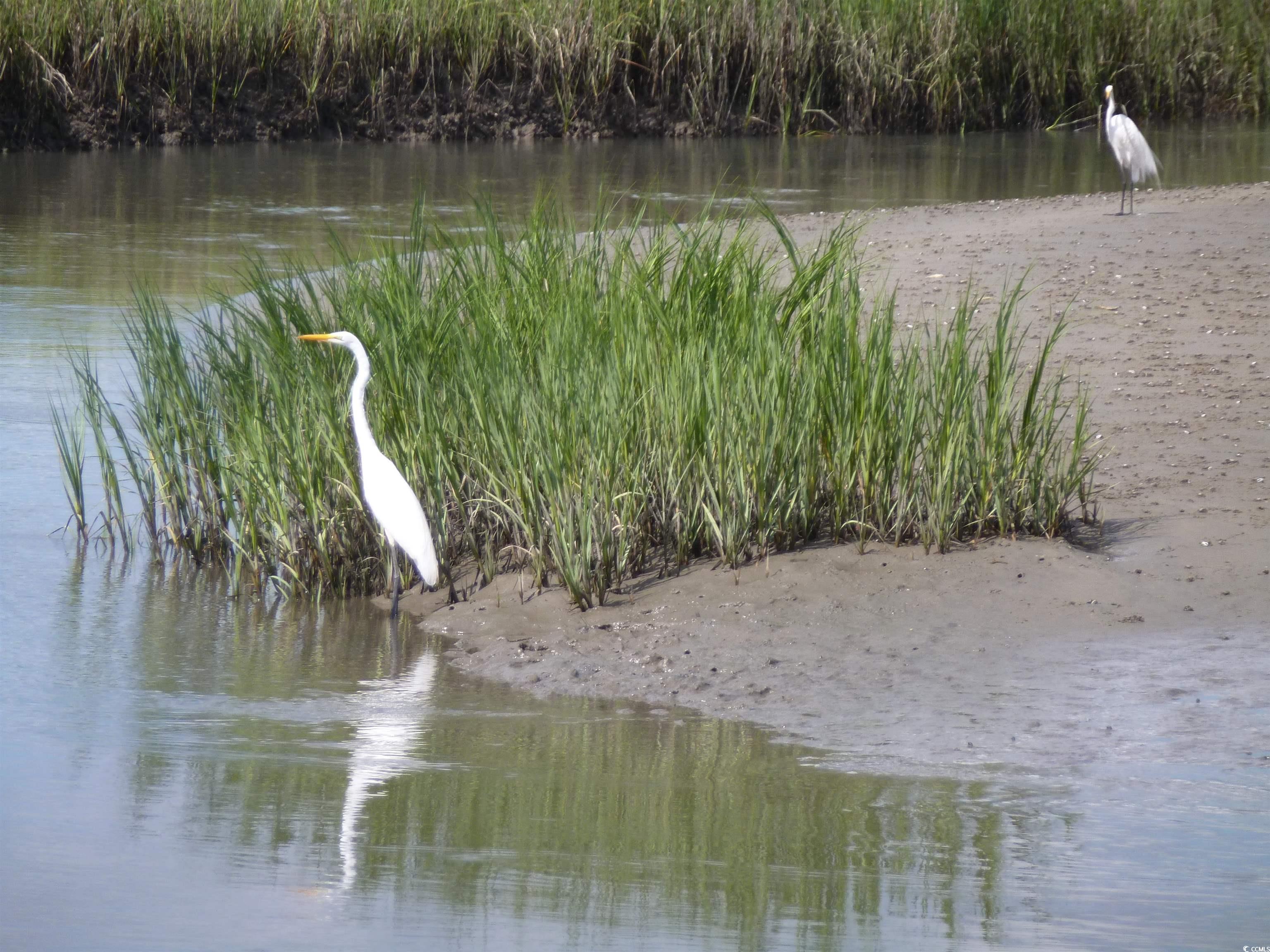 320 Pinehurst Ln. Unit: 11D