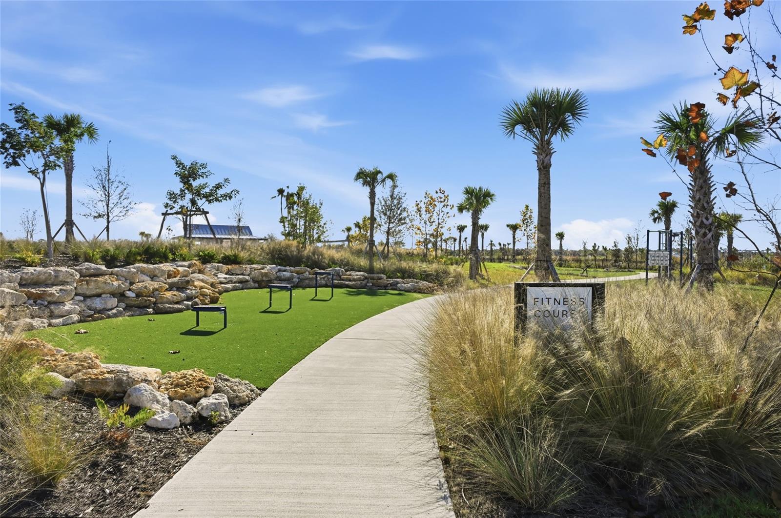 1107 BLUE SHELL LOOP