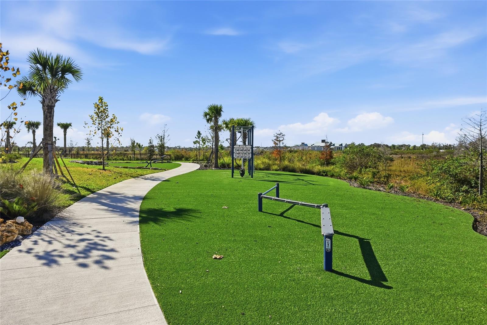 1107 BLUE SHELL LOOP