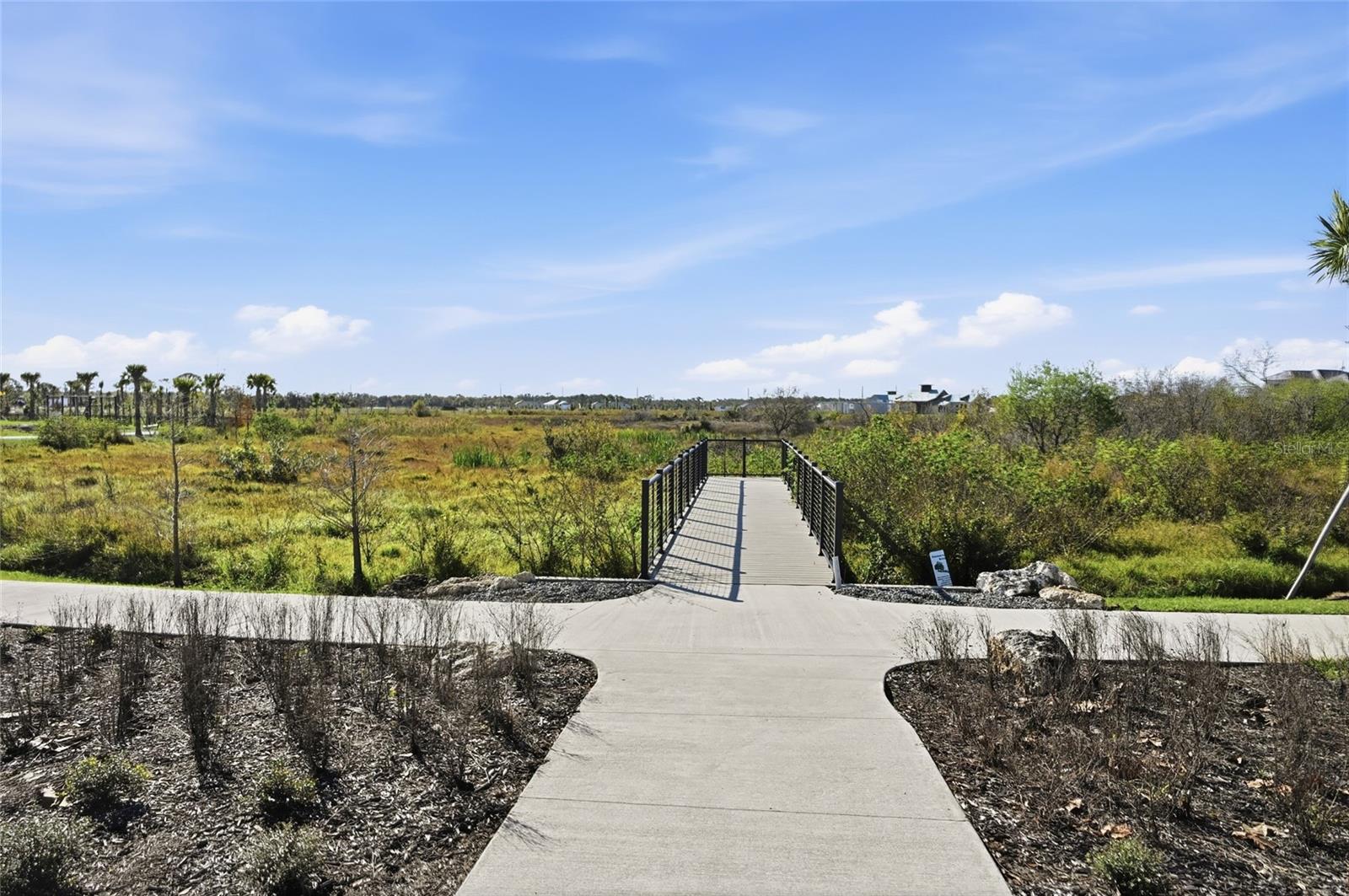 1107 BLUE SHELL LOOP