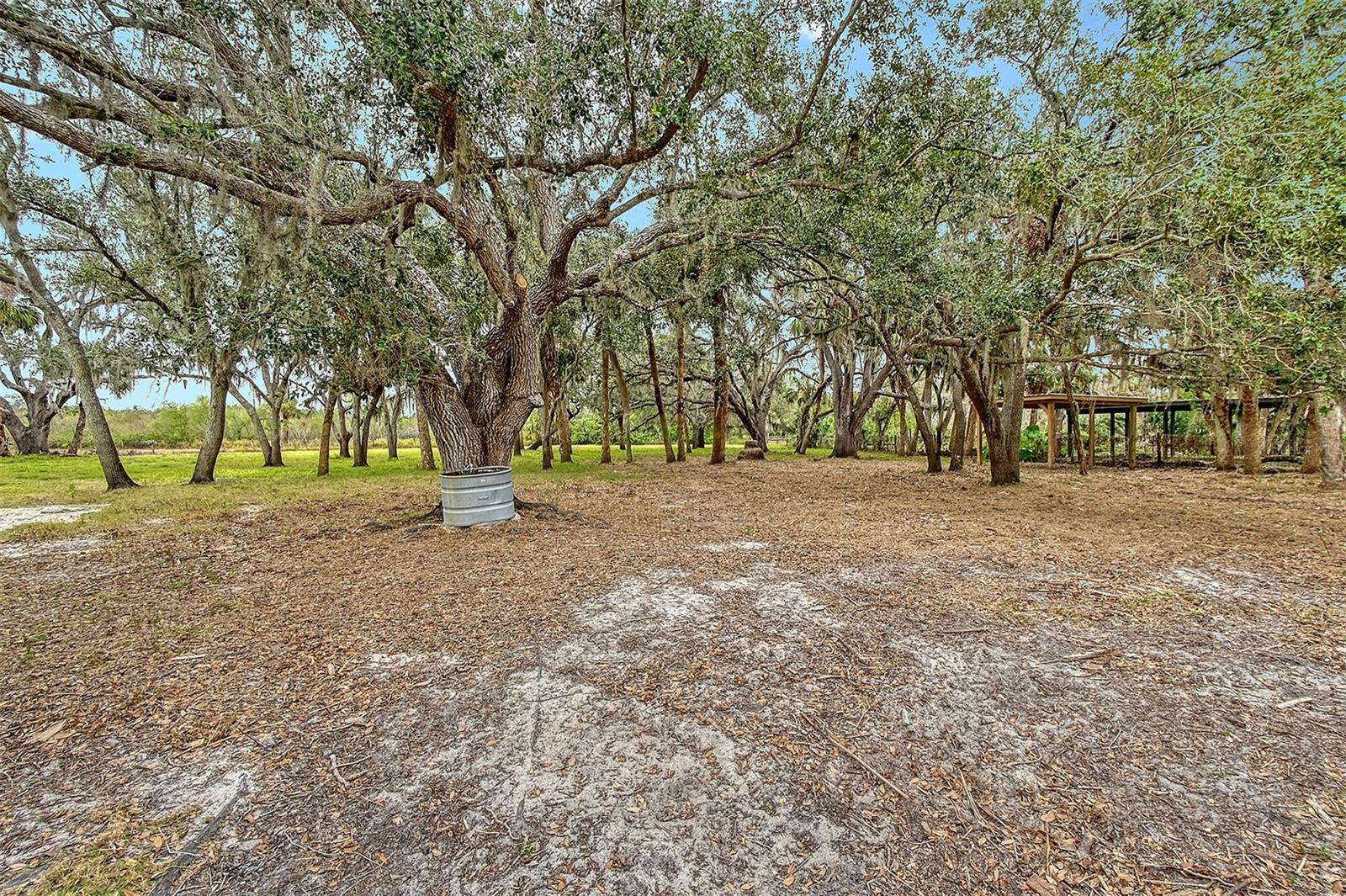 12845 N BRANCH RD