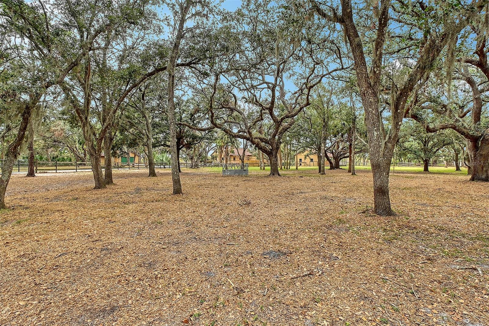 12845 N BRANCH RD