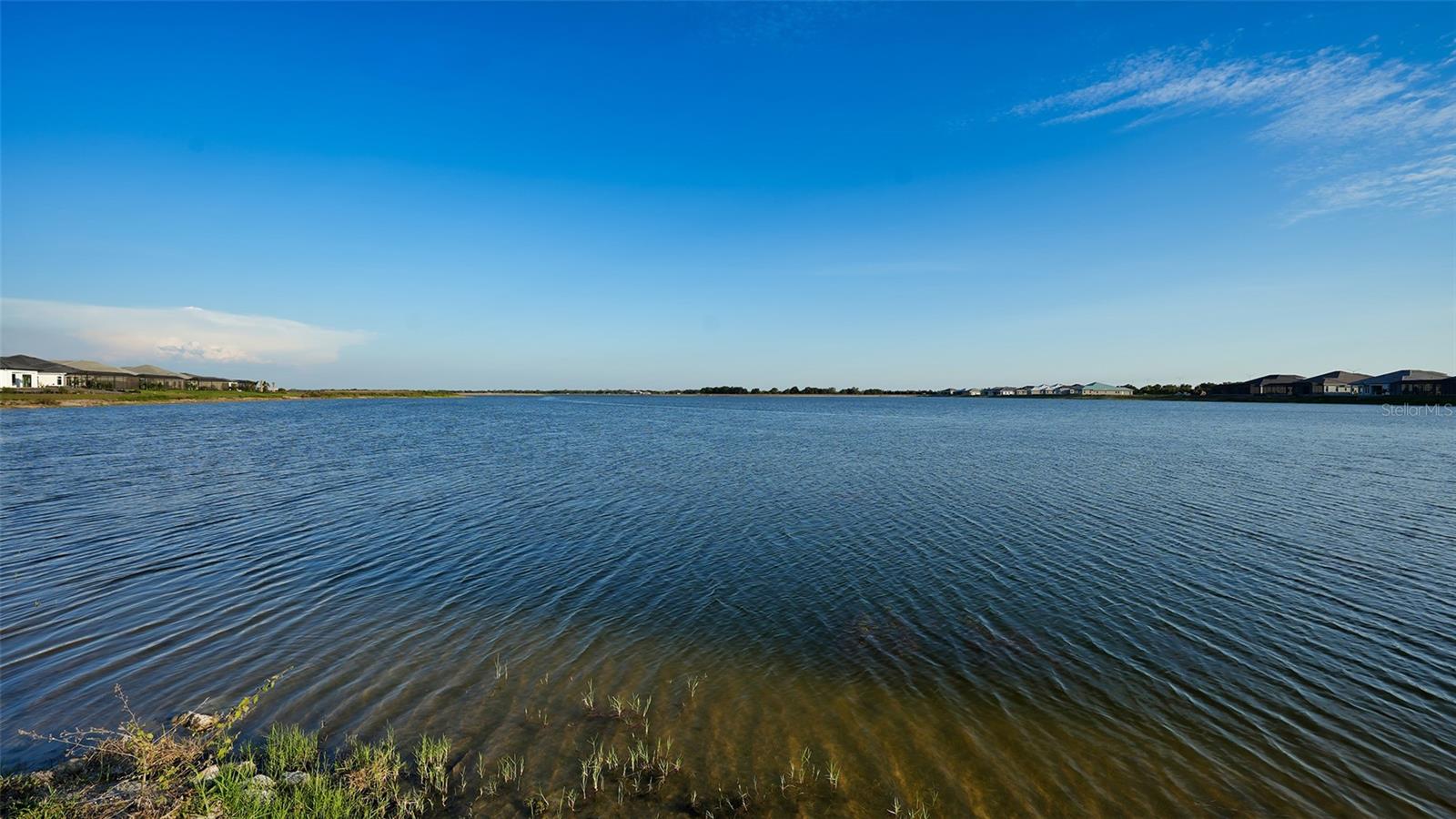 1210 BLUE SHELL LOOP