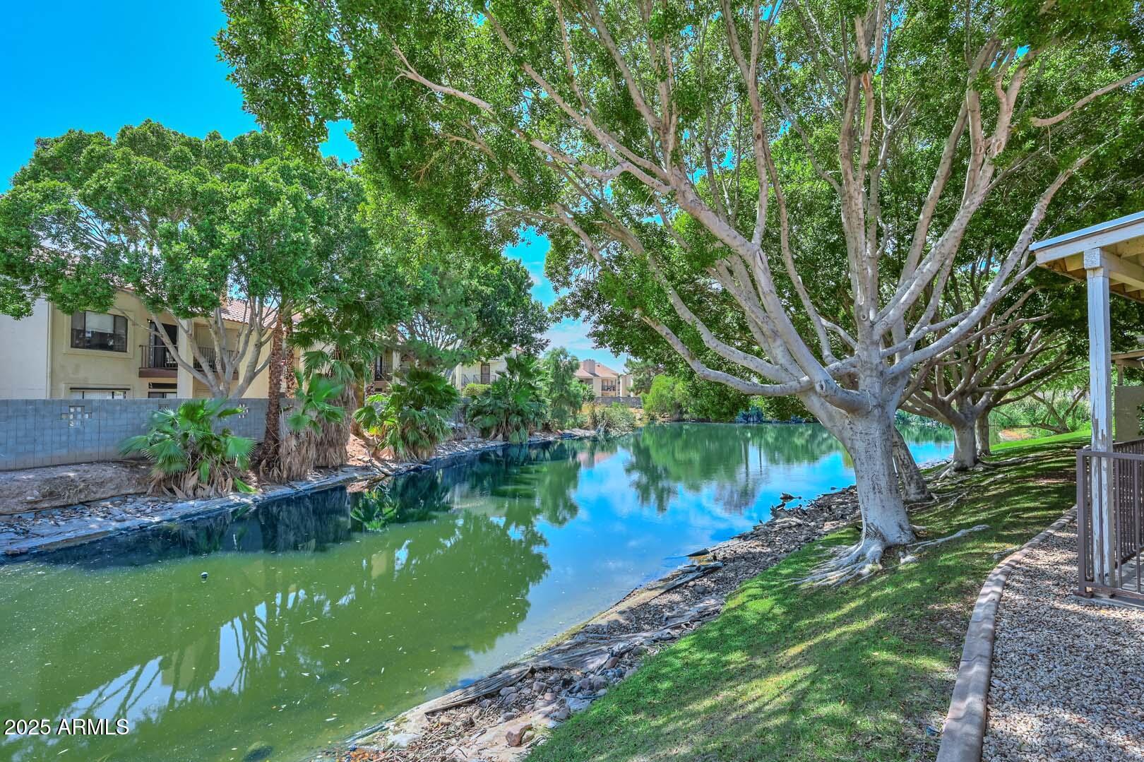 7101 W BEARDSLEY Road 1104