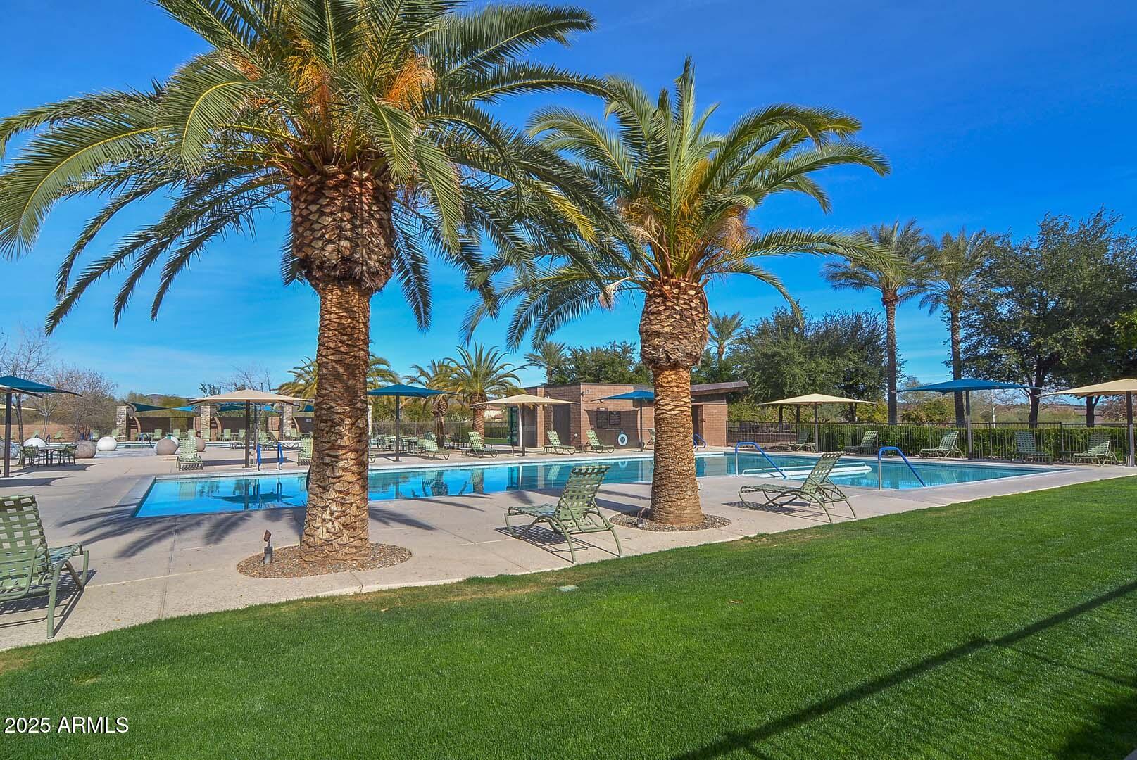 12330 W CACTUS BLOSSOM Trail