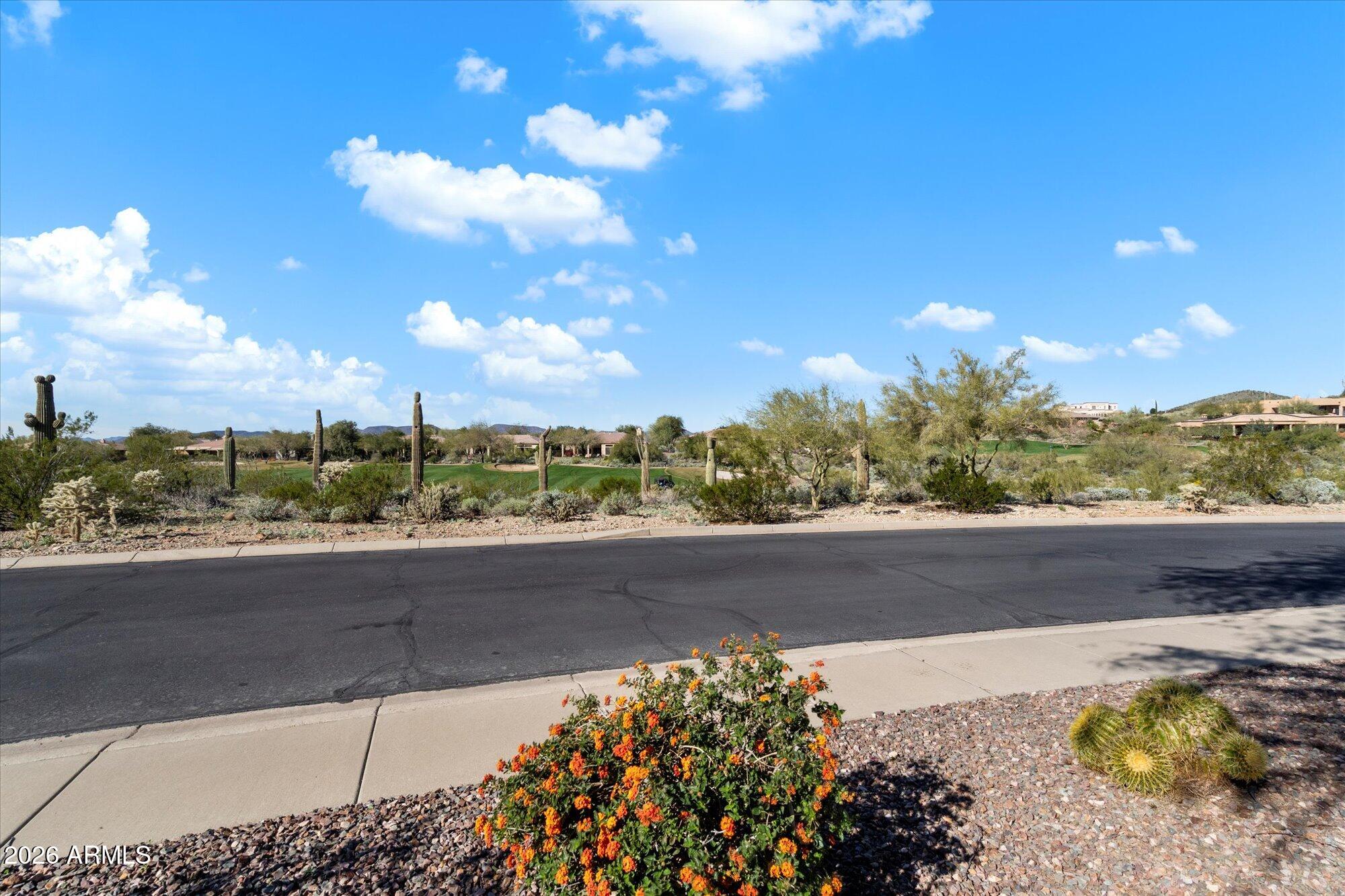 42111 N FAIRGREEN Court