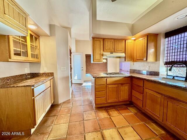 1365 S Rio Verde Lane