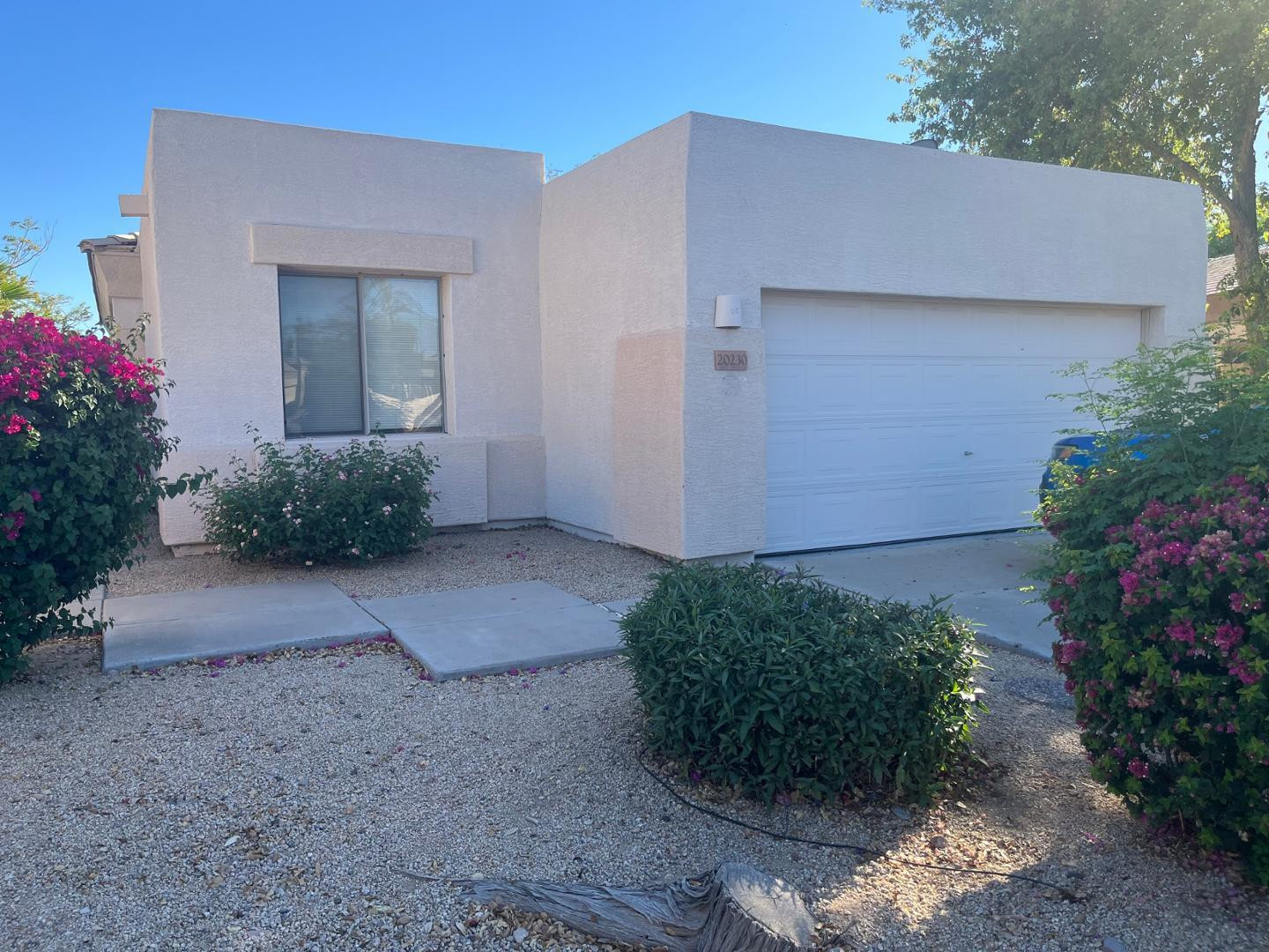 20230 N 63rd Drive