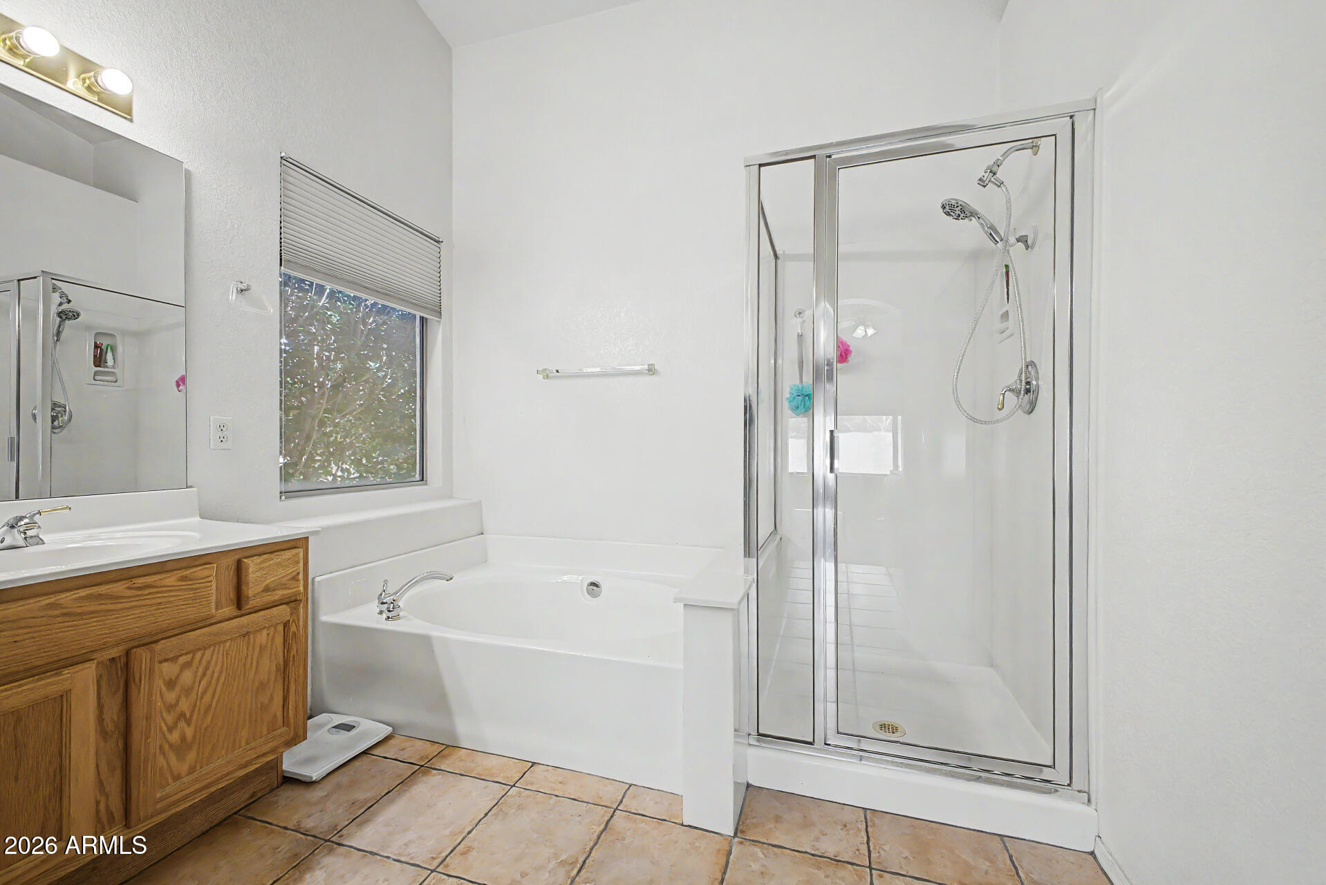 6799 W Firebird Drive